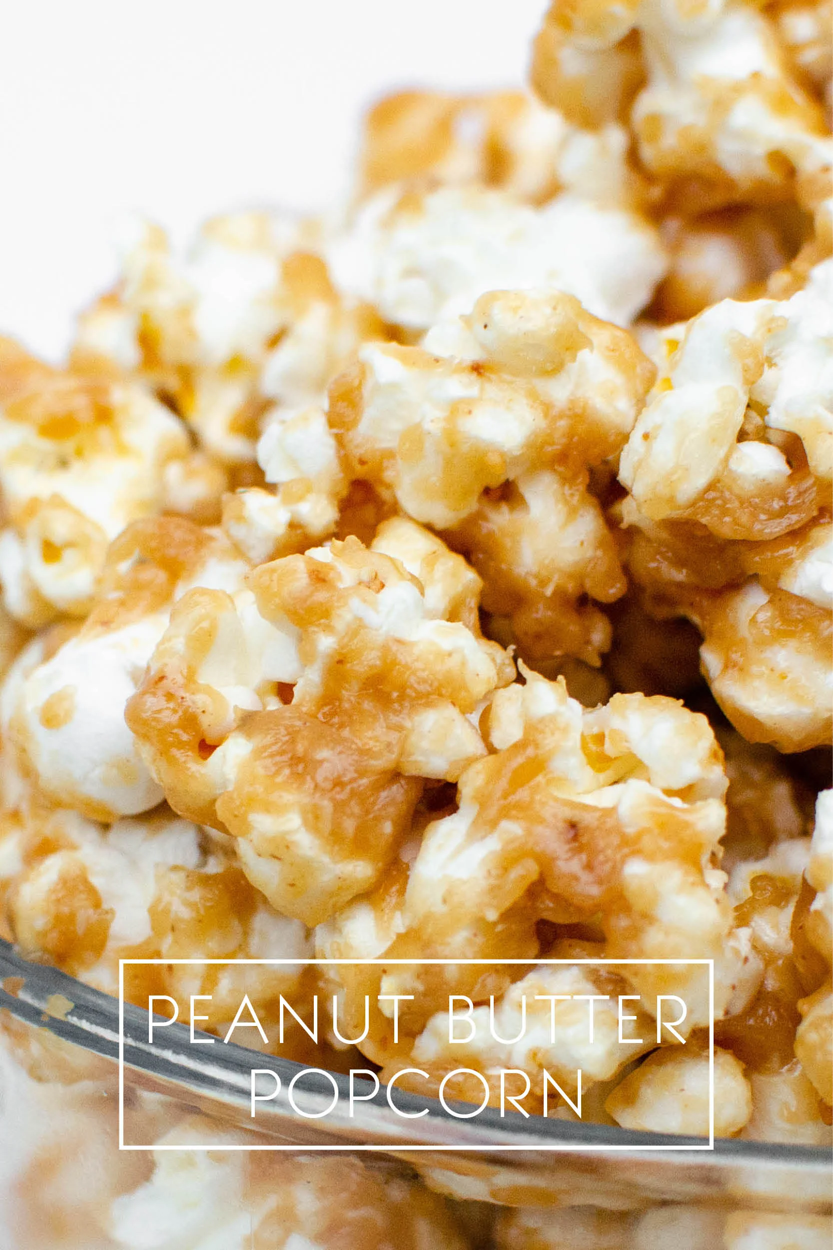Vegan GlutenFree PB POPCORN_Studiois2t.jpg