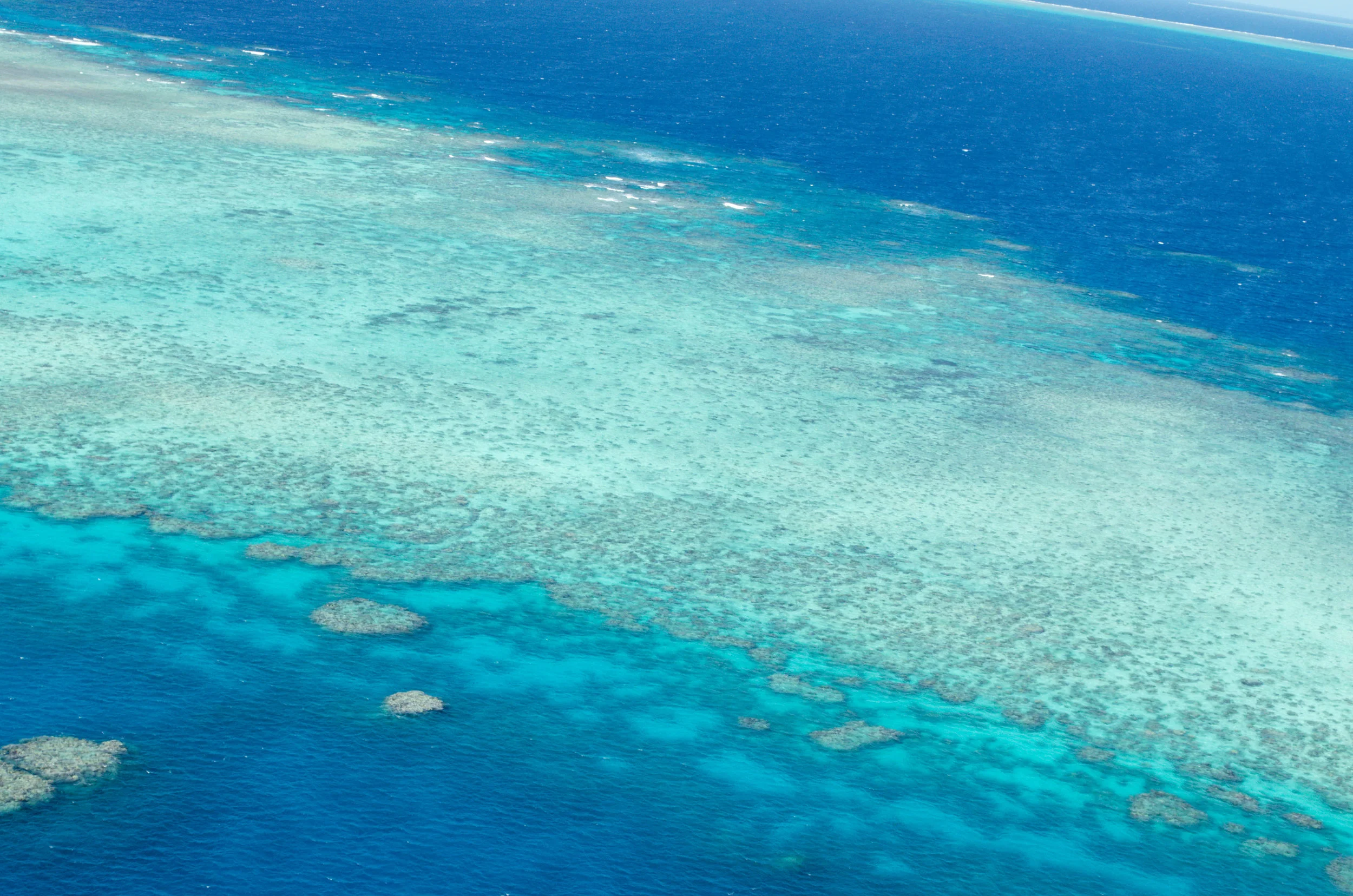 DSC_0072-2.jpg