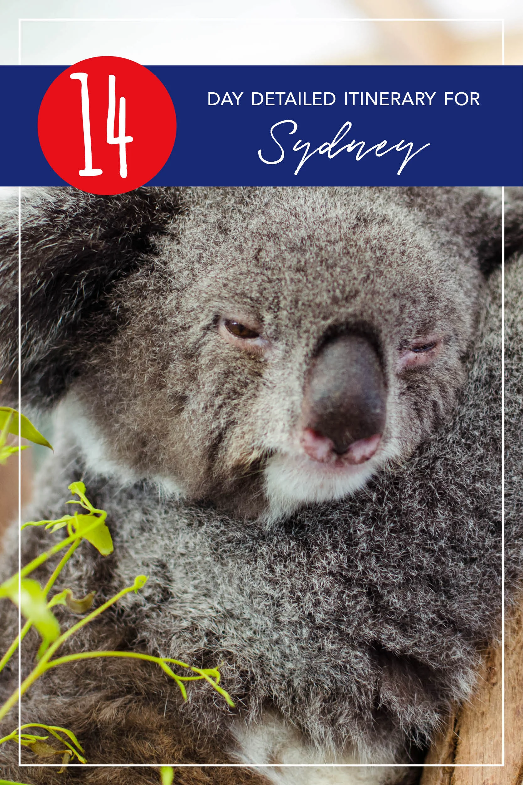 Travel Itinerary - 14 Days in Sydney Australia - Detailed Koala.jpg