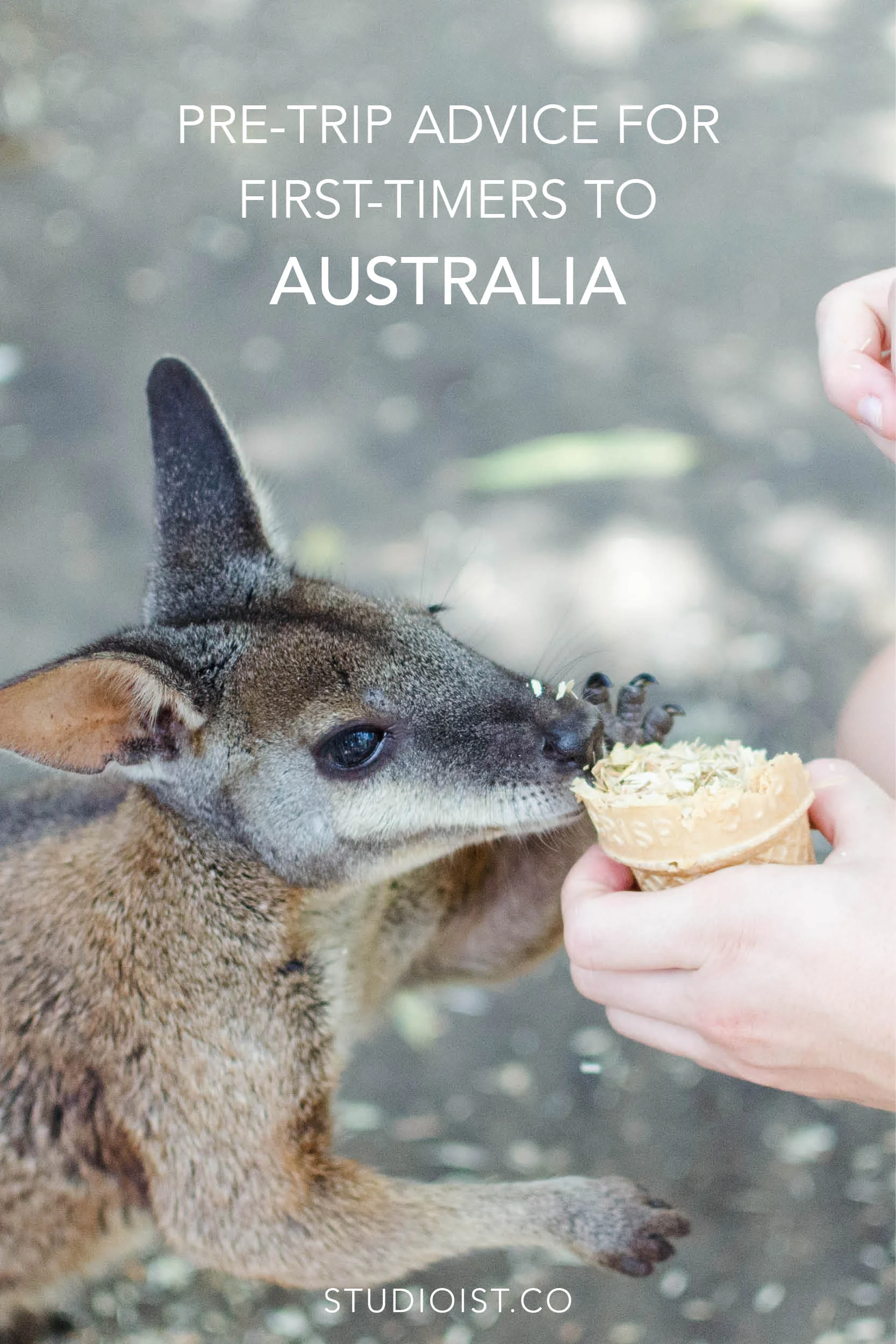 Studioist_Pinterest Design Travel_Australia Tips3.jpg