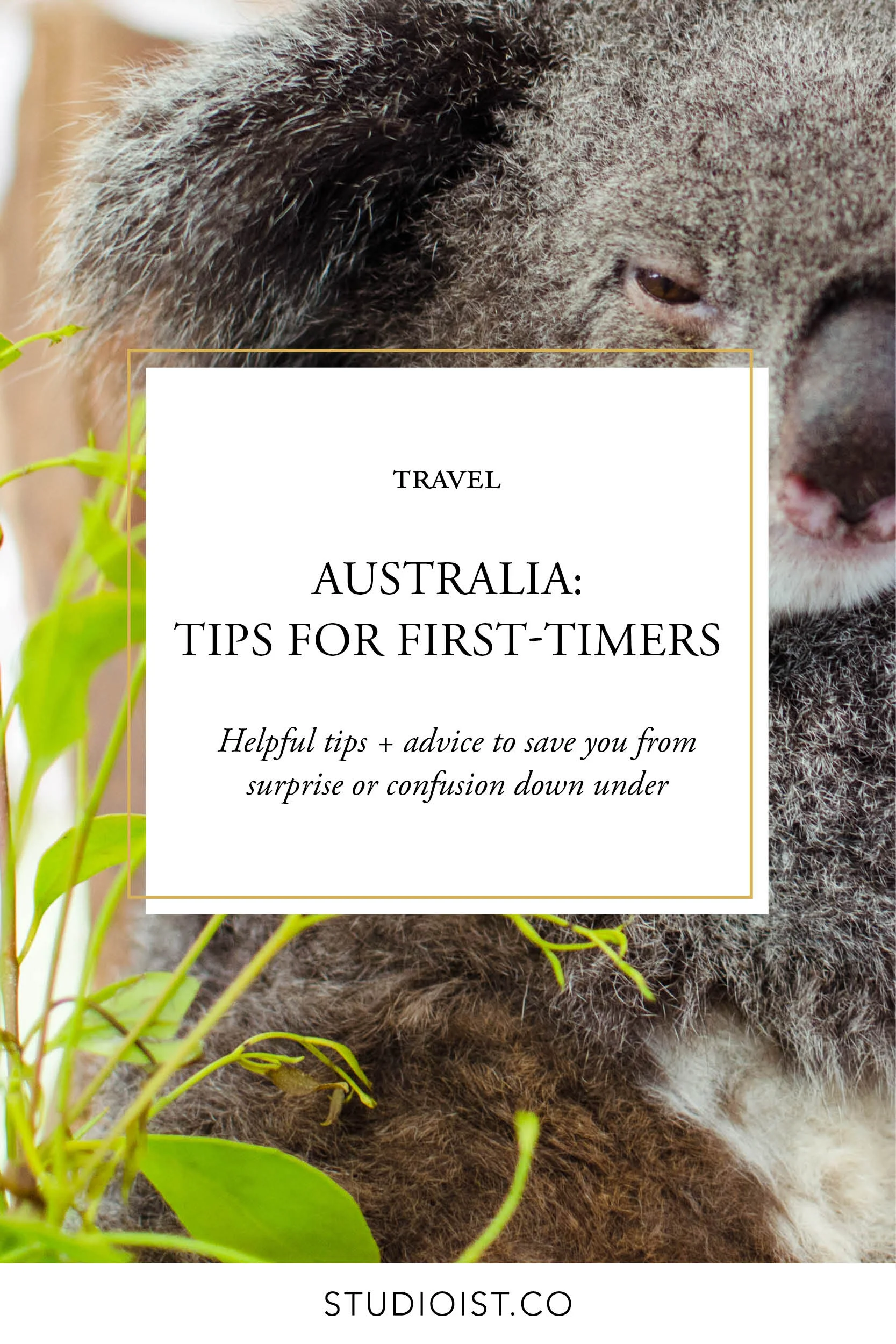 Studioist_Pinterest Design Travel_Australia Tips.jpg