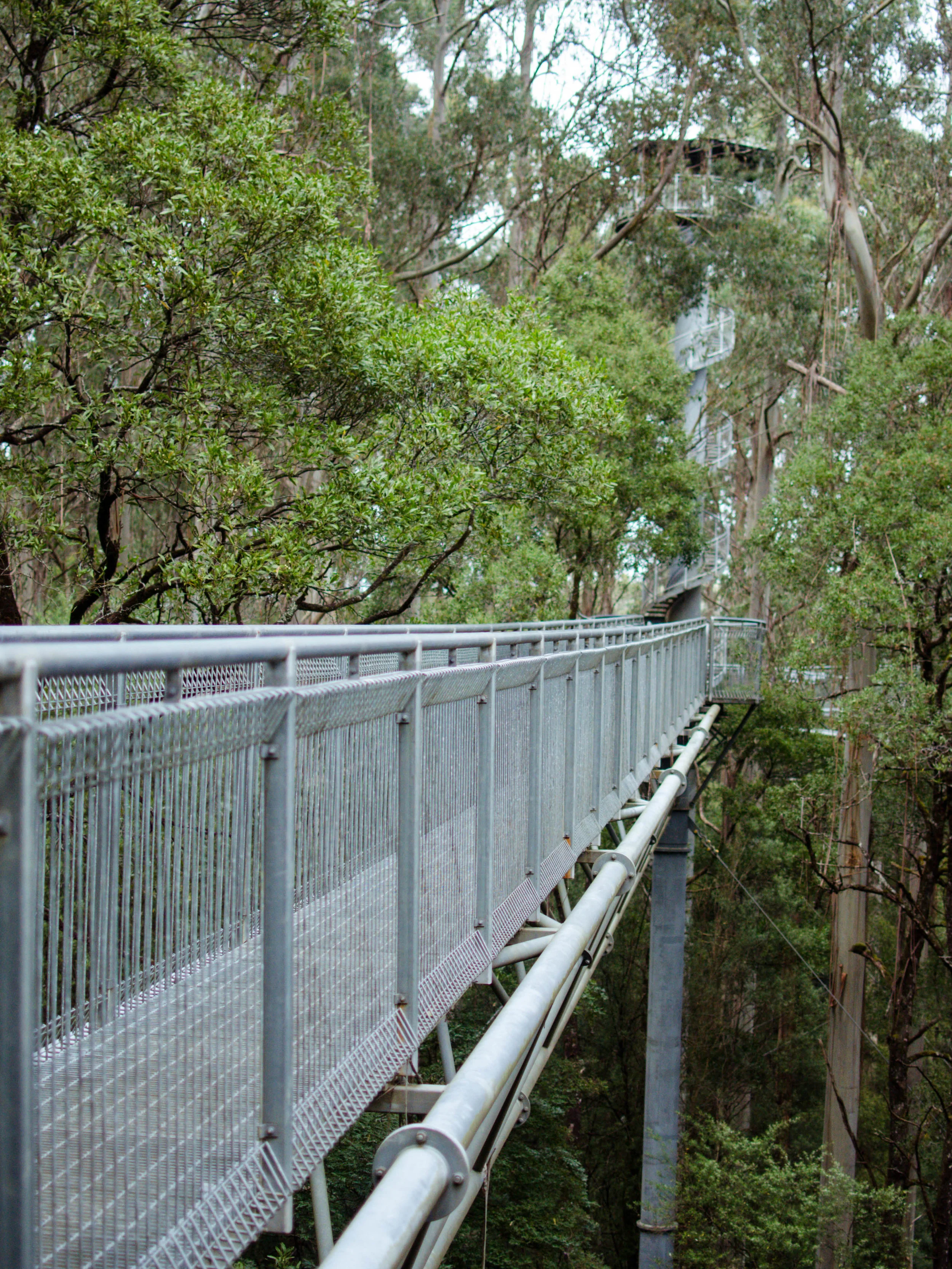 Melbourne Guide_Vertical-small13.jpg