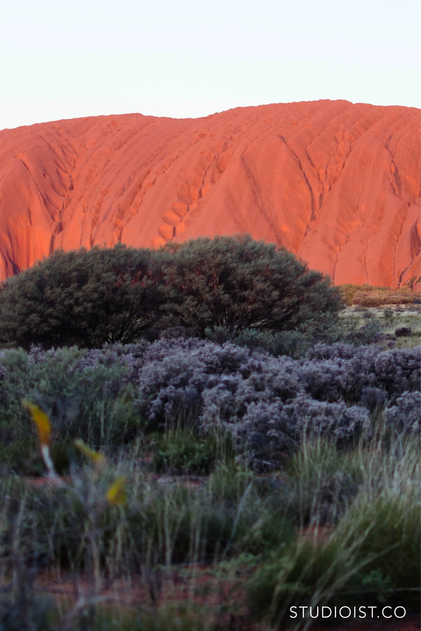 Studioist_Pinterest Design Travel_AustraliaExperiences2.jpg