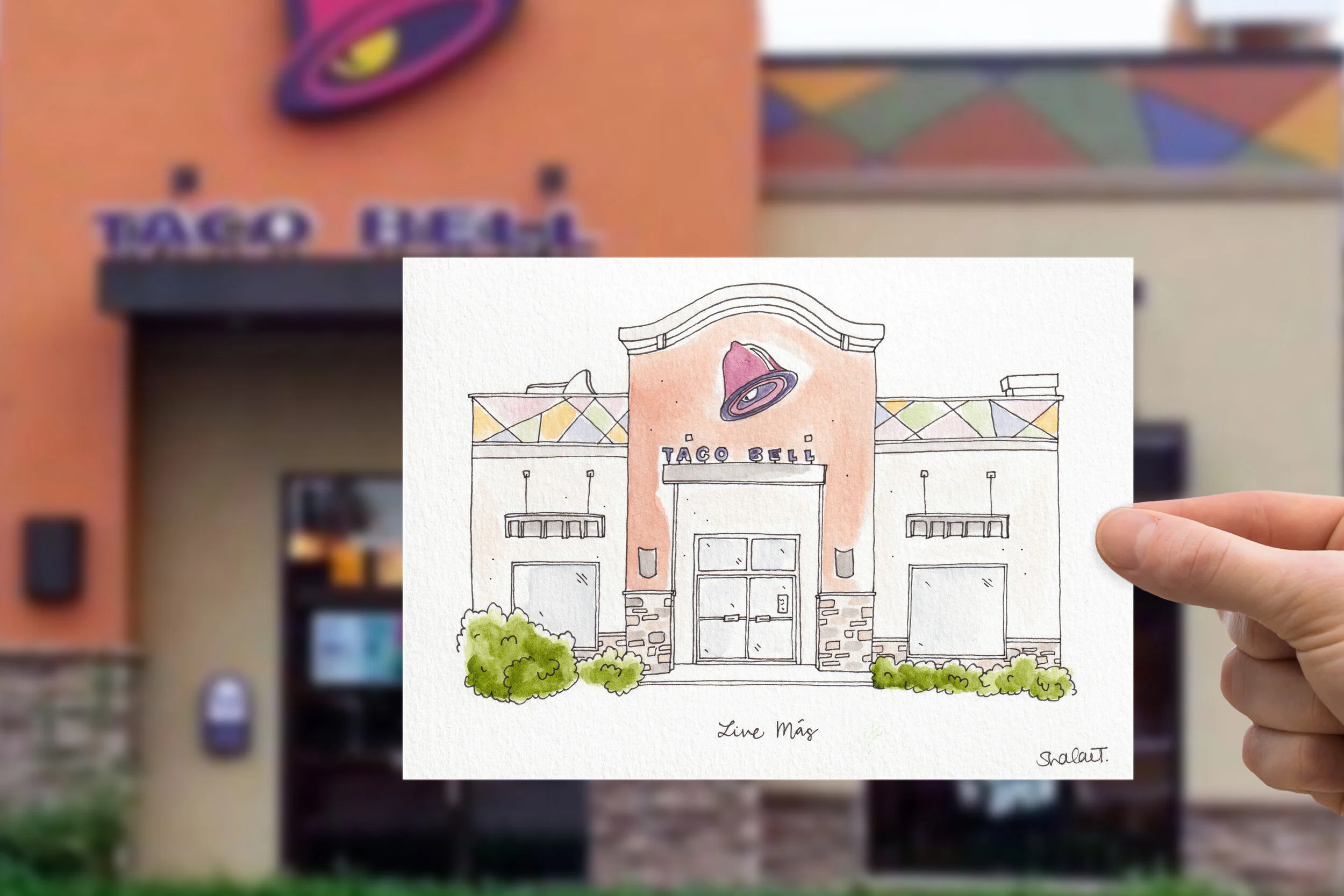taco_bell_ilustration_composite.JPG