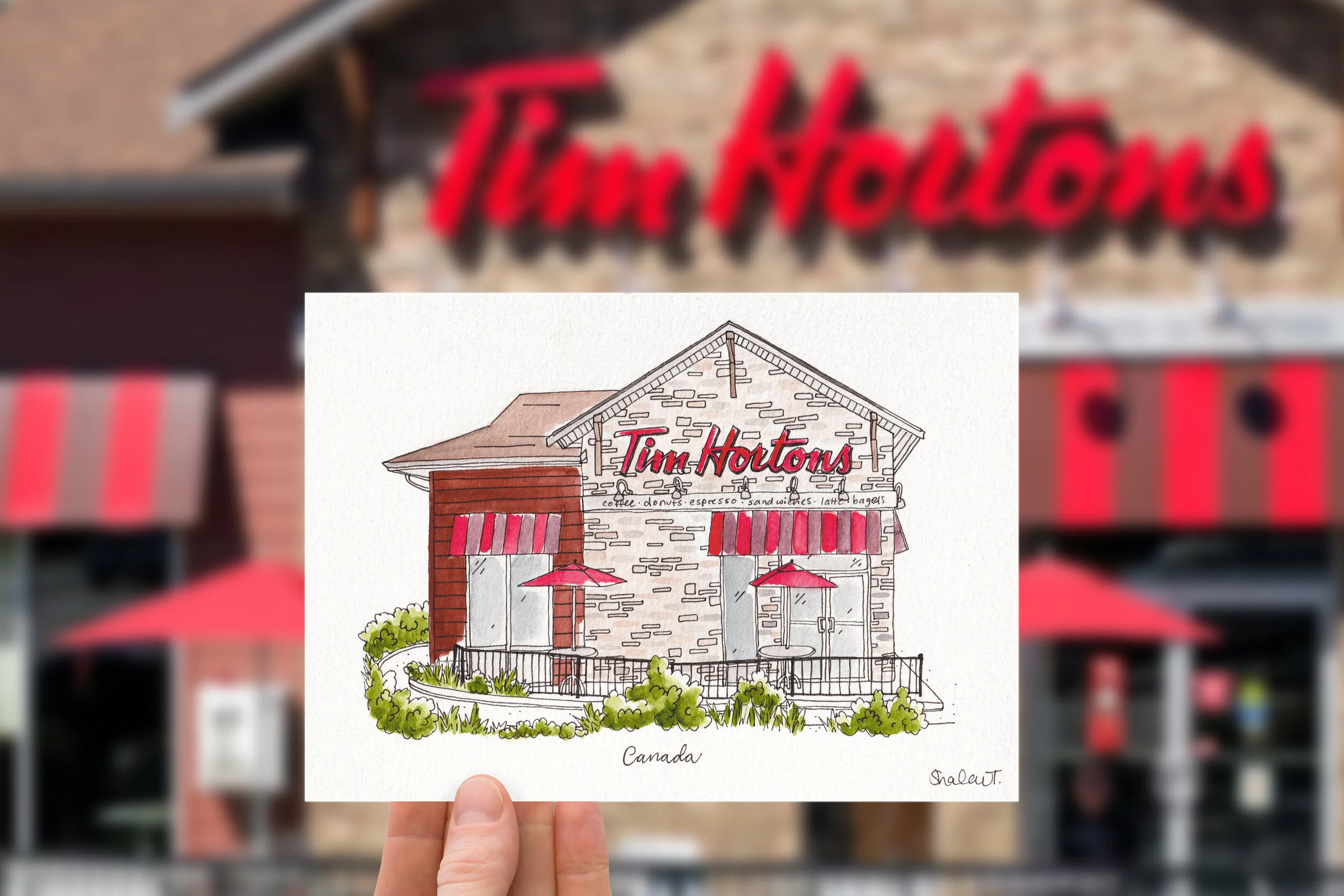 tim_hortons_illustration_composite.JPG