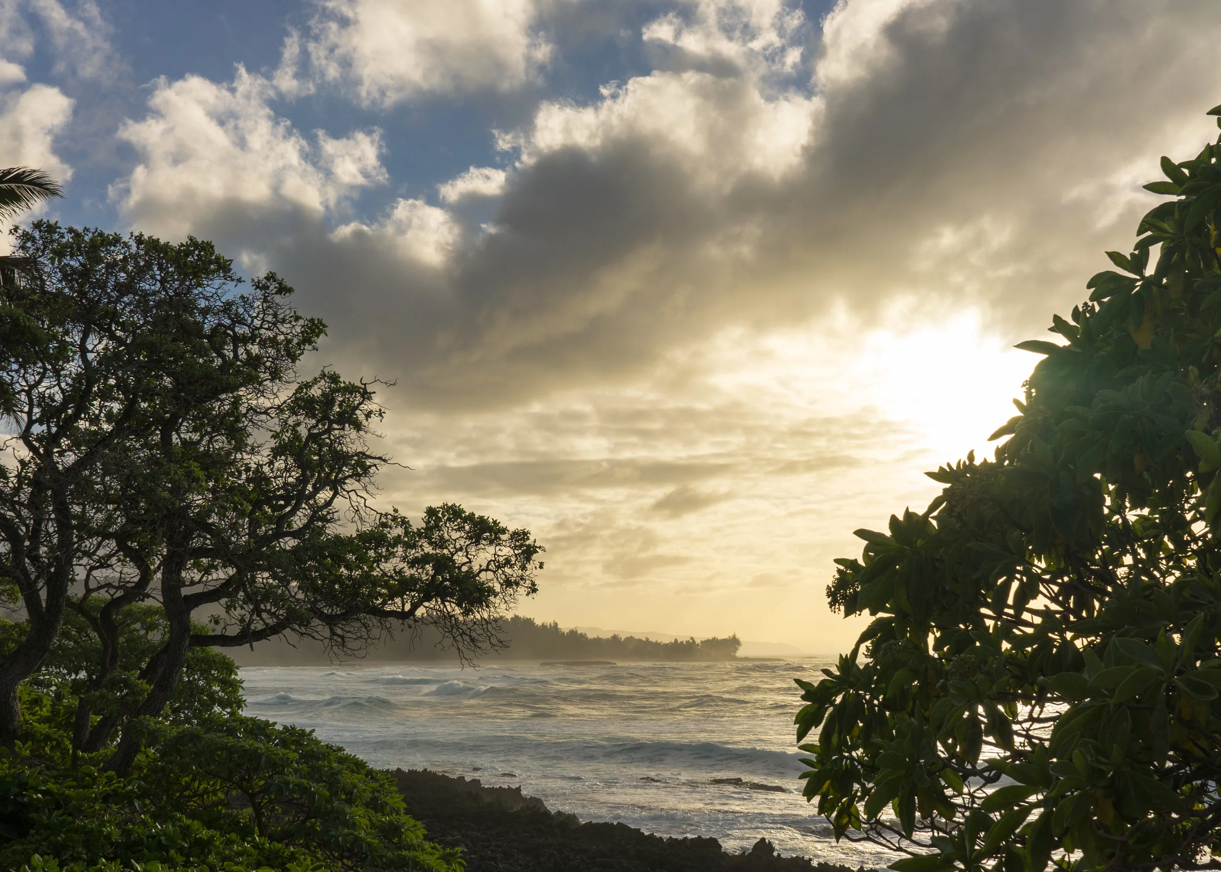 turtlebay2.jpg
