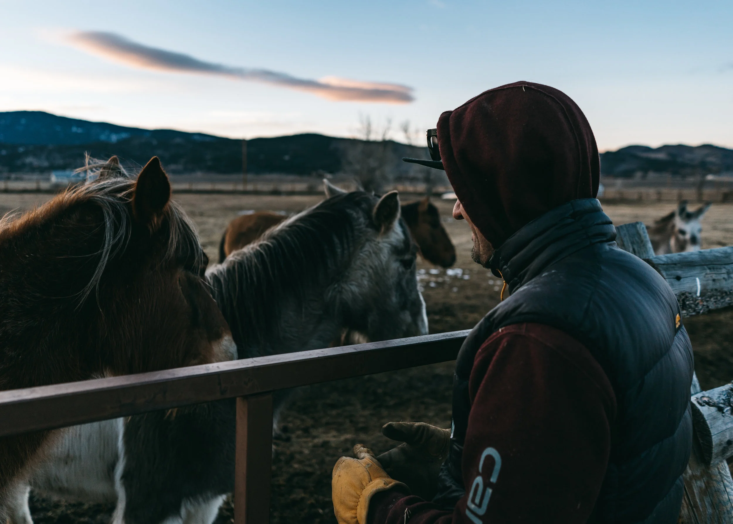 ranch-4.jpg
