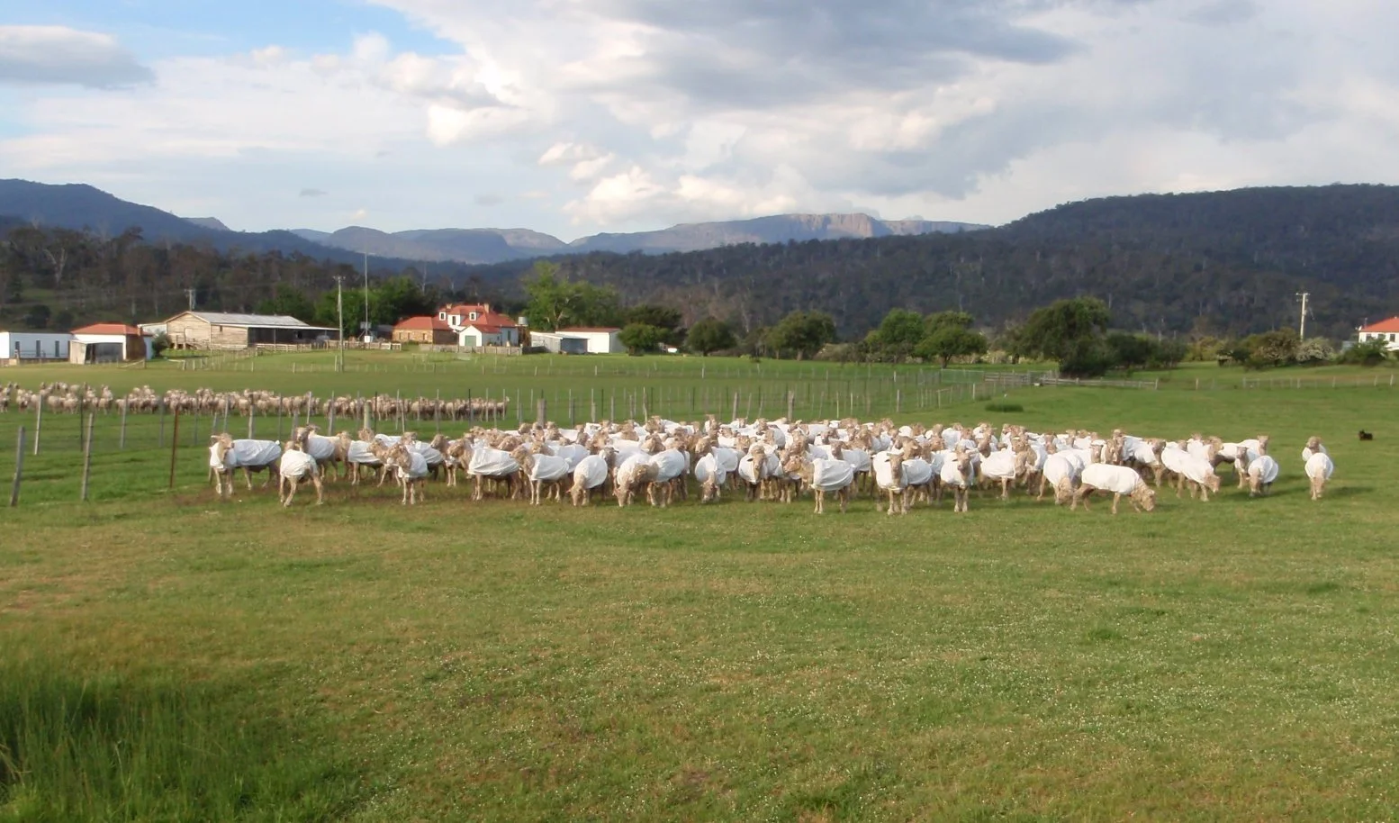 58 - Ready for the 'Run Country'.jpg