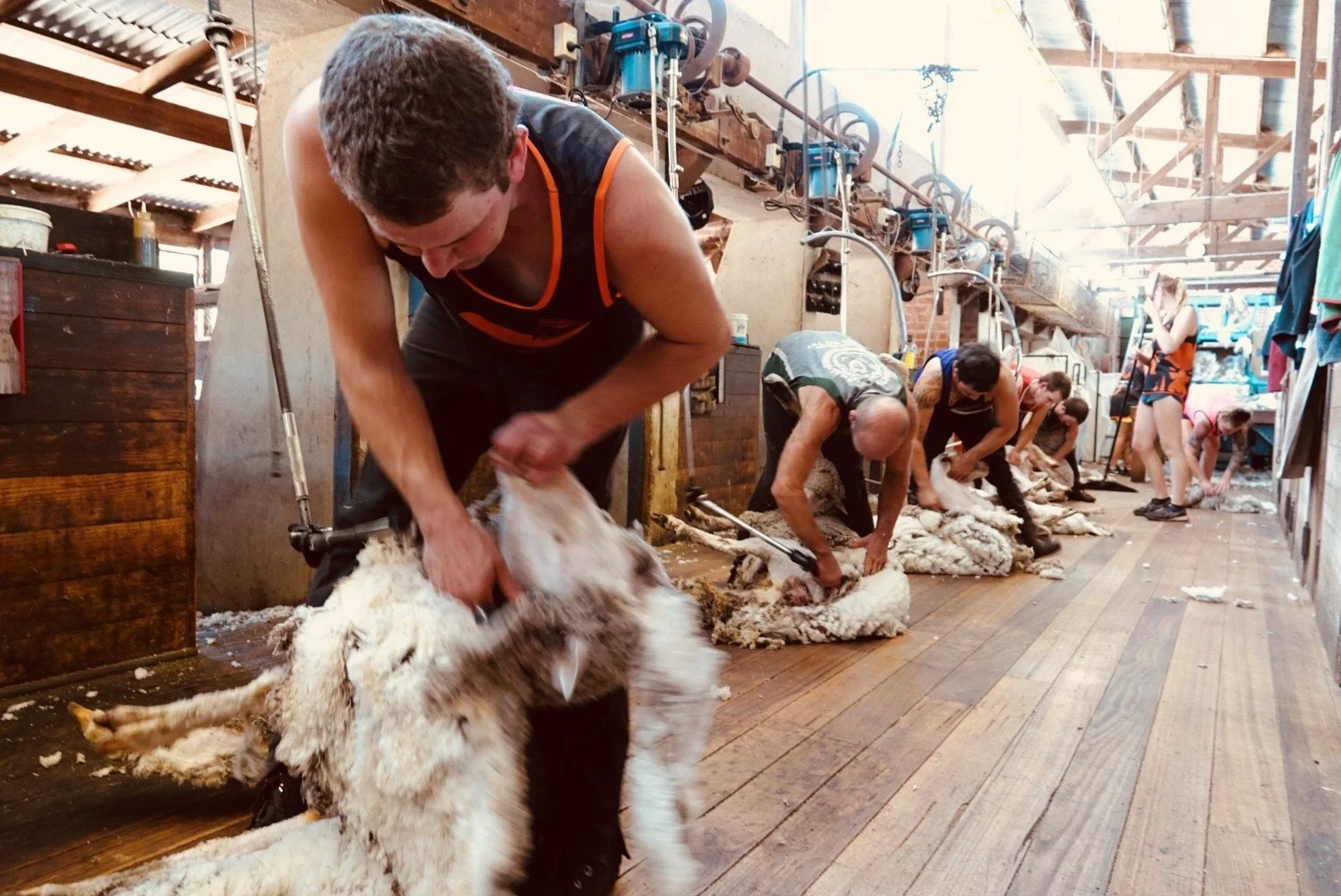 14JB getting the job done.jpg