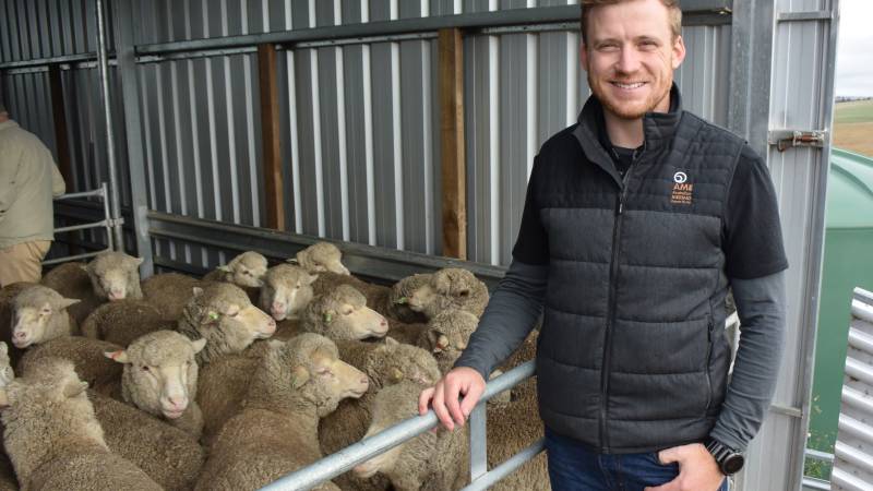 Australian Merino Exports wool buyer Andrew Worthington