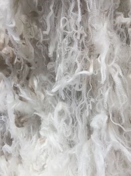 wool Kingston 1pp.jpg