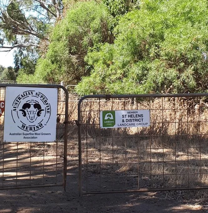 WOOL AND ENVIRONMENT: David and Susan Rowbottom have been voluntary custodians of the St Helen's Reserve since 1975.