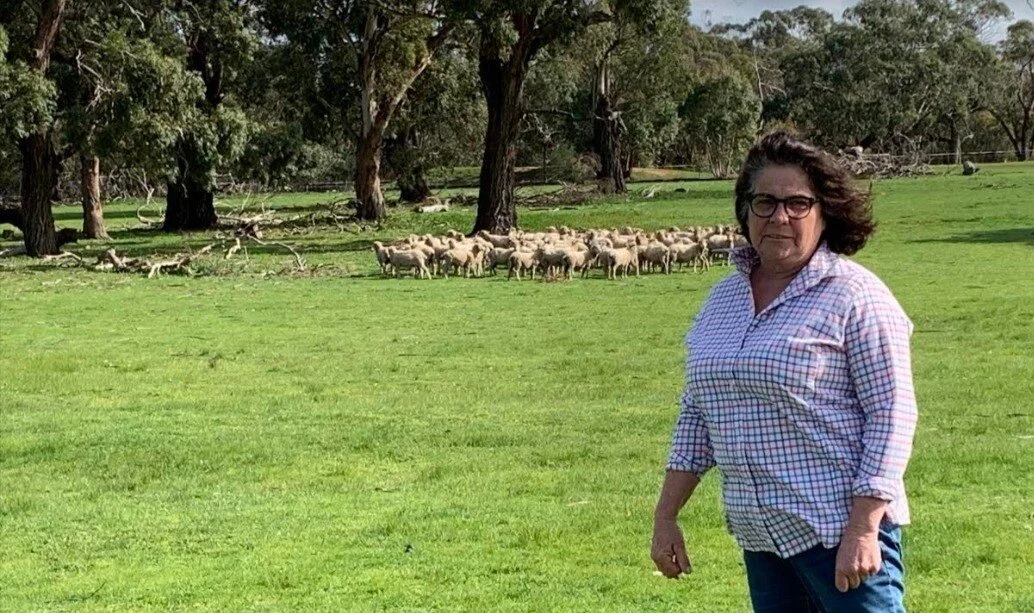 Victorian ultrafine wool grower Sherrie Cordie has alerted the industry to a potential change to the mulesing definition.