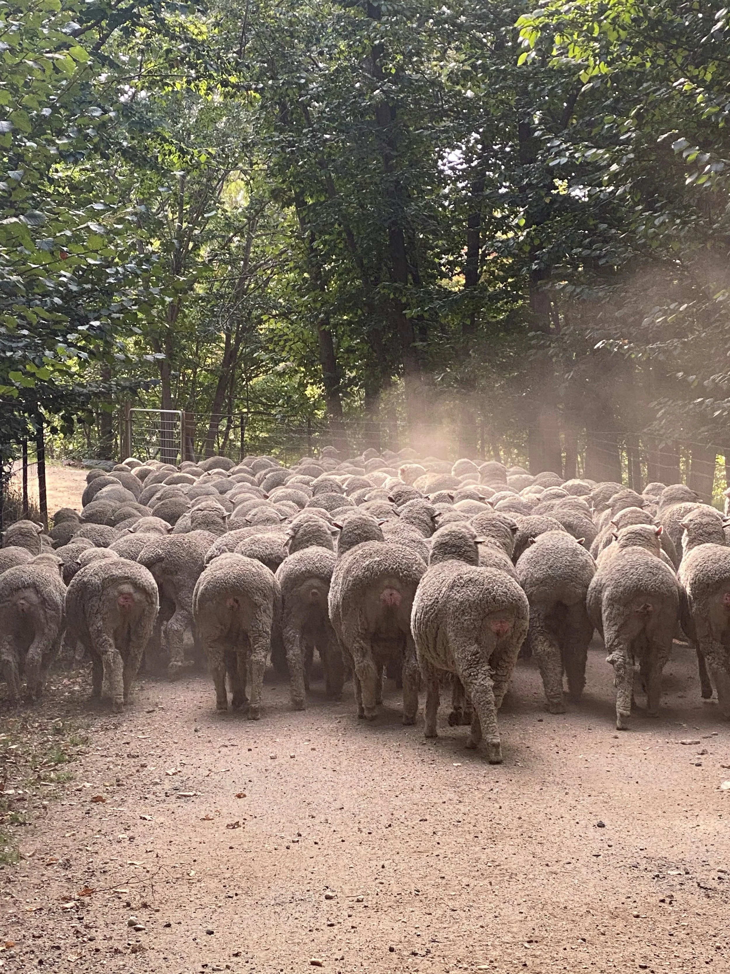 14JB Heading Home.jpg