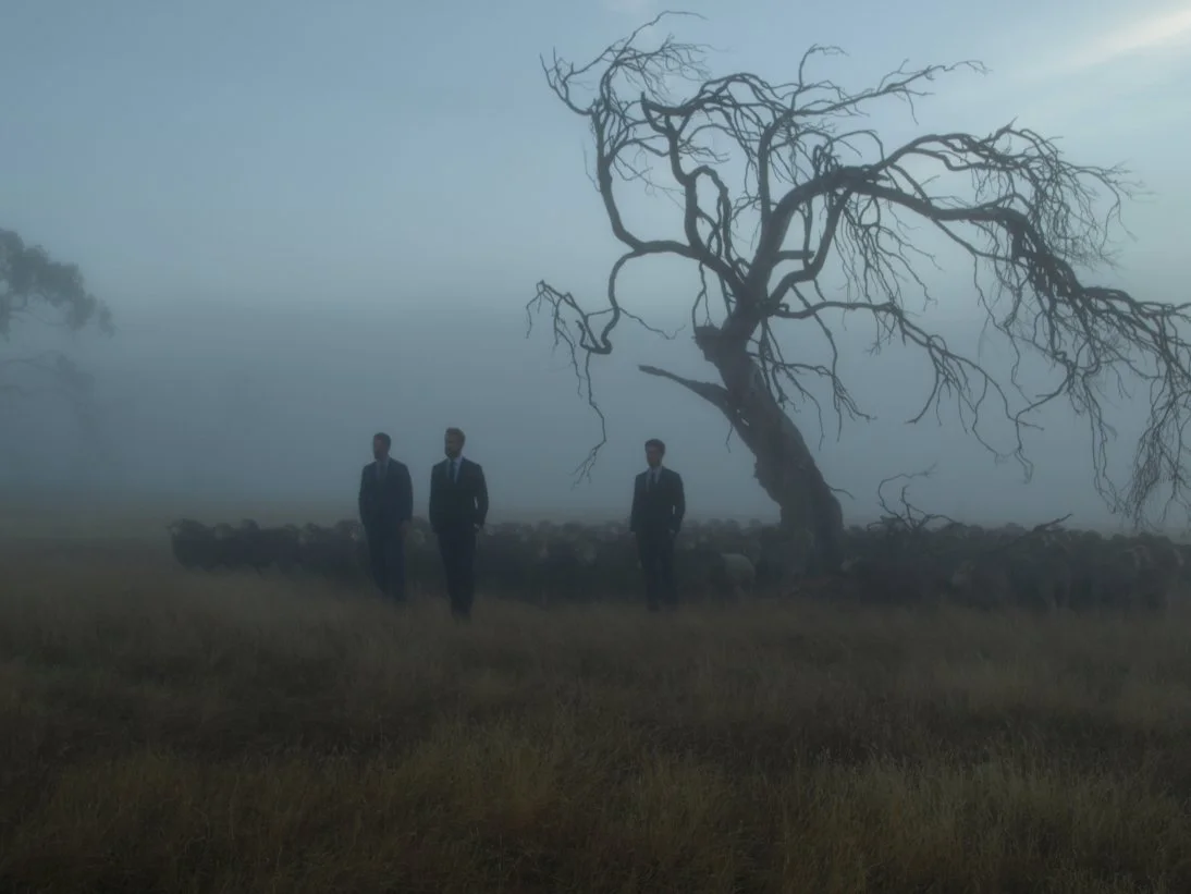 Suits in the fog.jpg