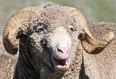 67f - Untitledsm.jpg