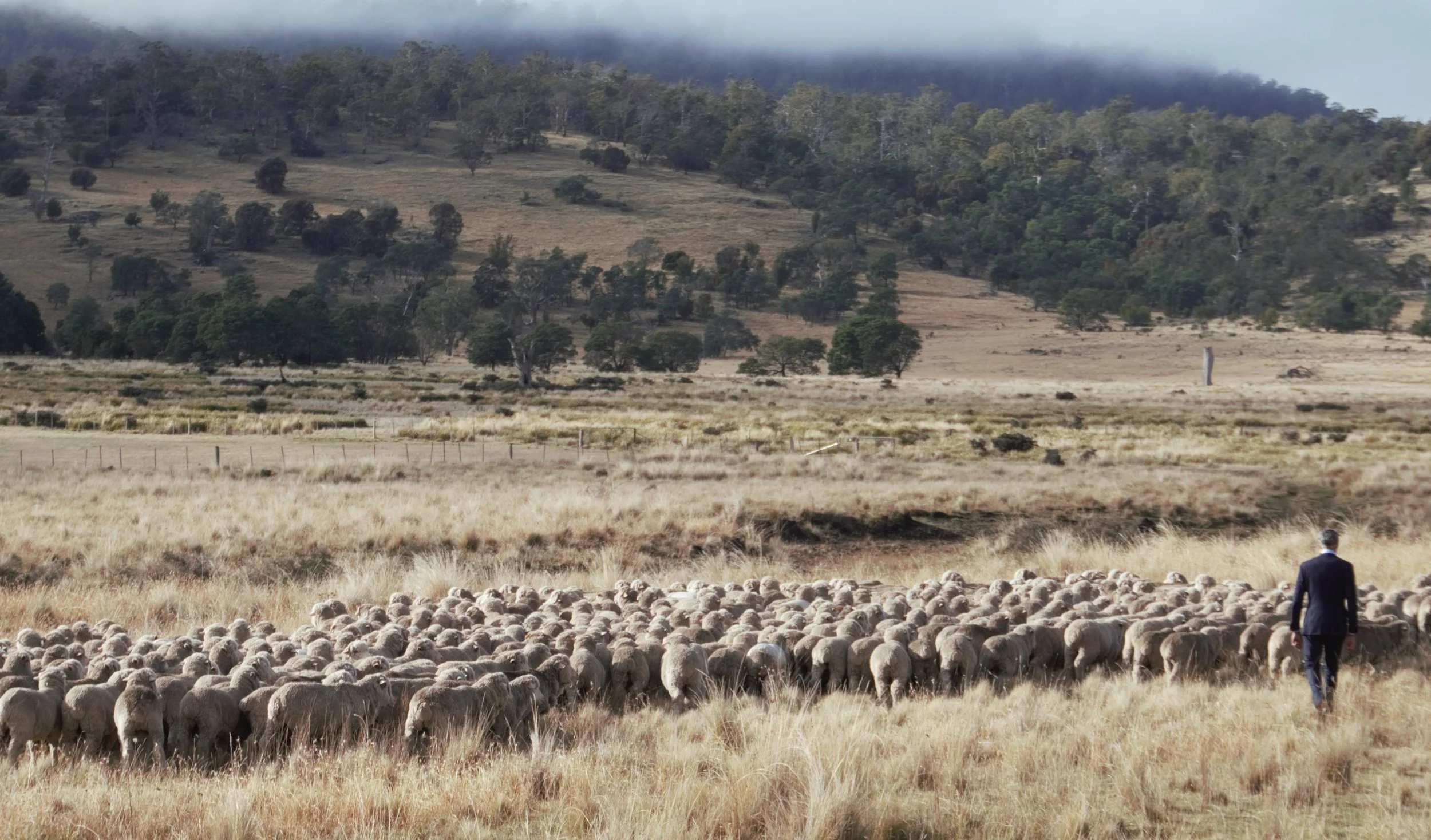 58e Back to the source 3.jpg