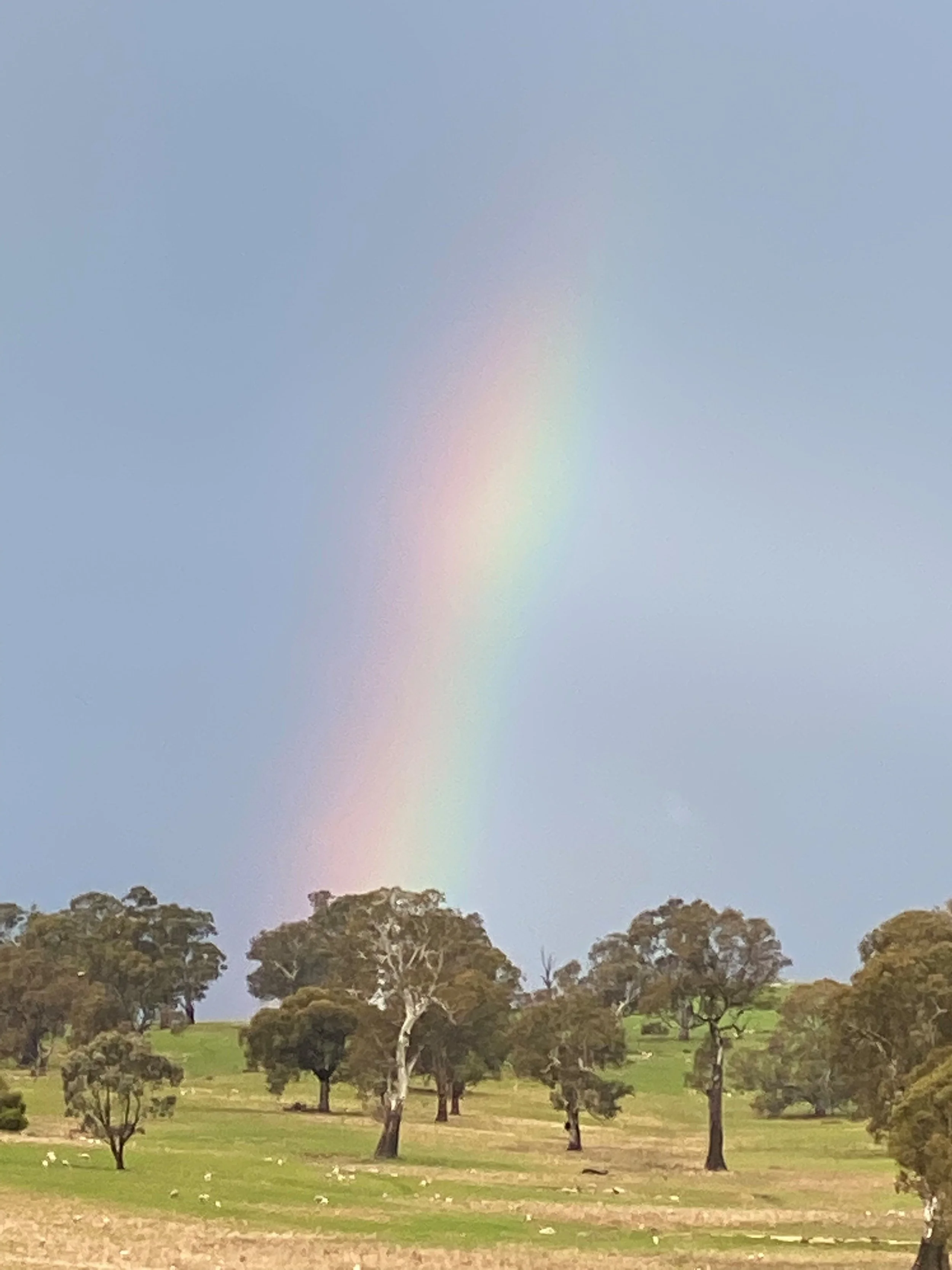 14JB Somewhere over the rainbow.jpg