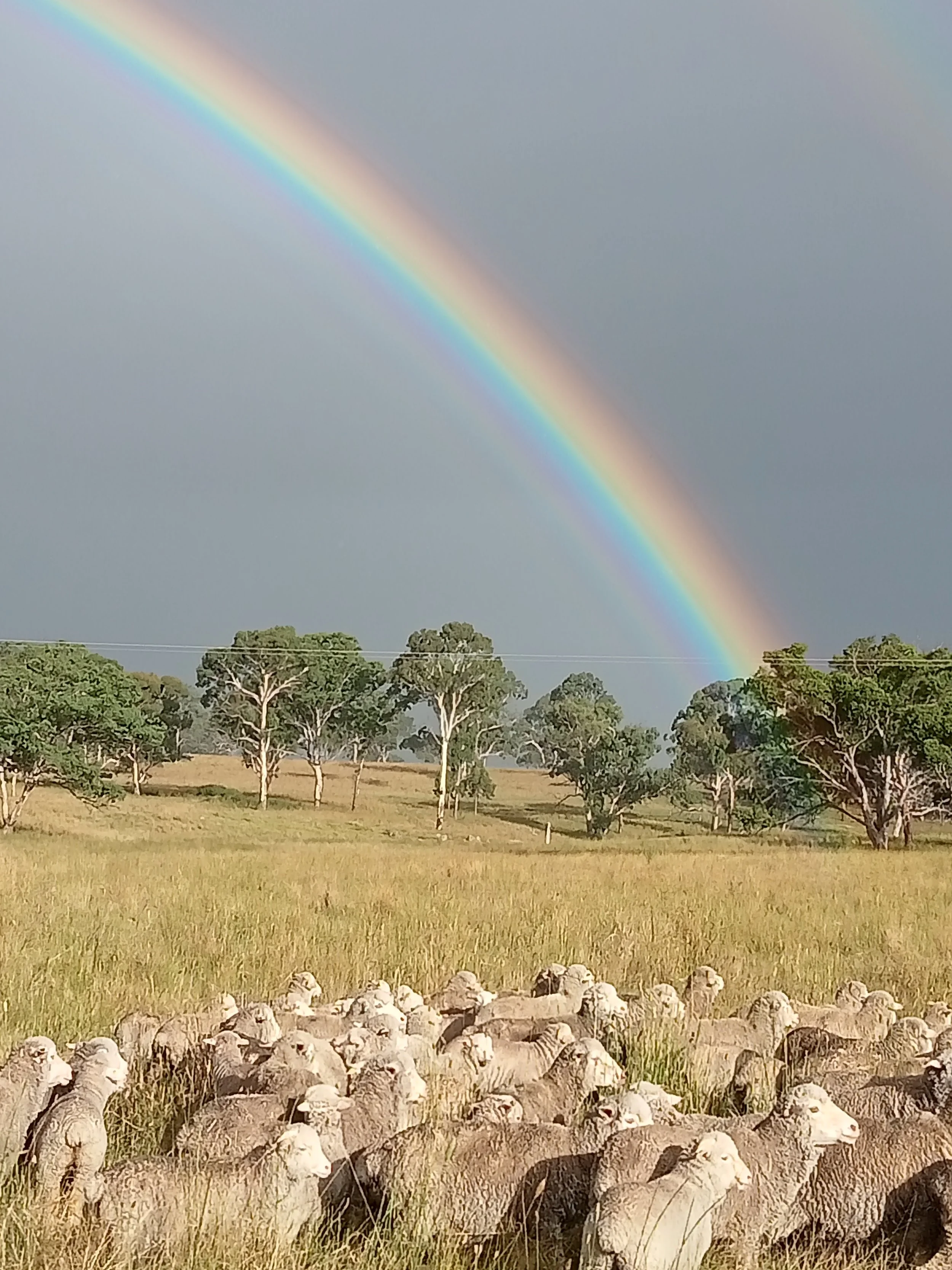 Under the Rainbow -562 .jpg