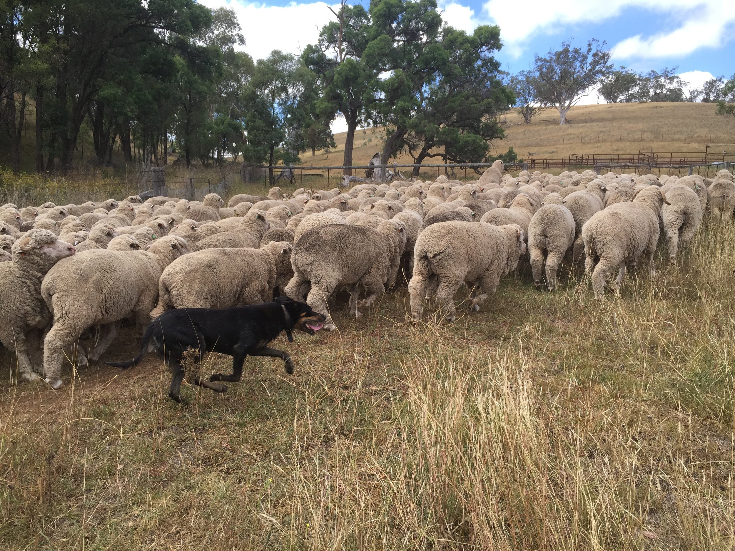 Almost There 137.jpg