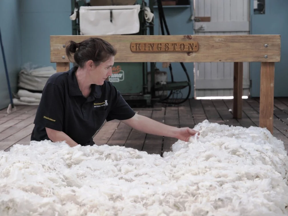 58c - 1PP or bust sm.jpg