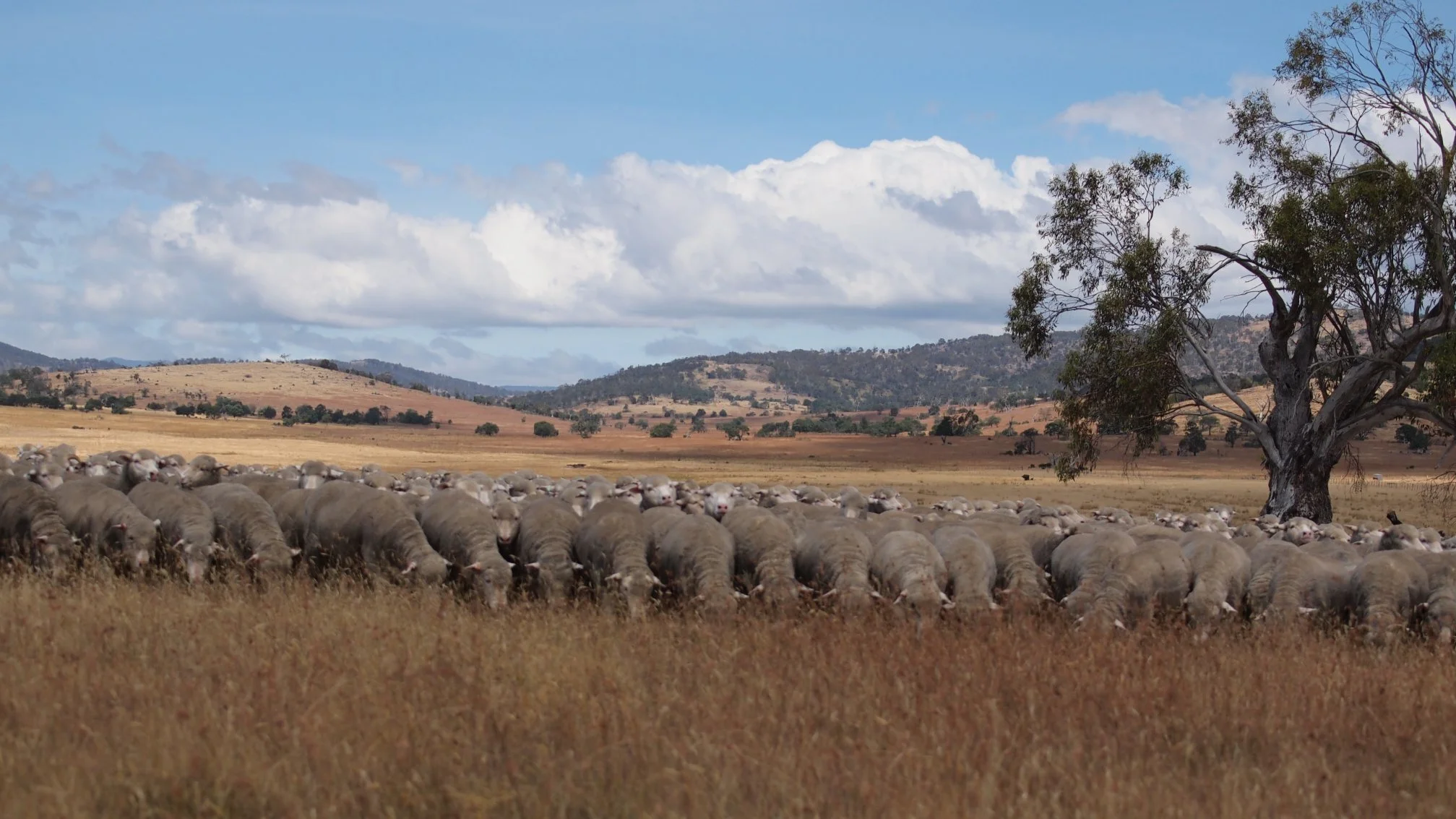 58 - Natural Fibres in a Native Environment.jpg