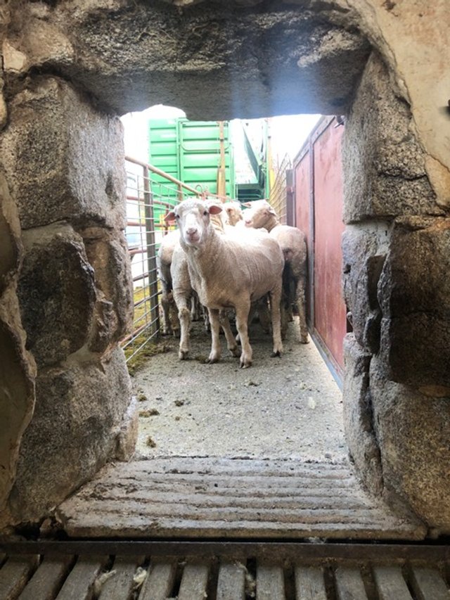 14a Here we come.jpeg