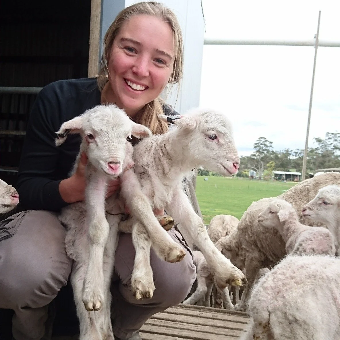 The Next Generation.jpg