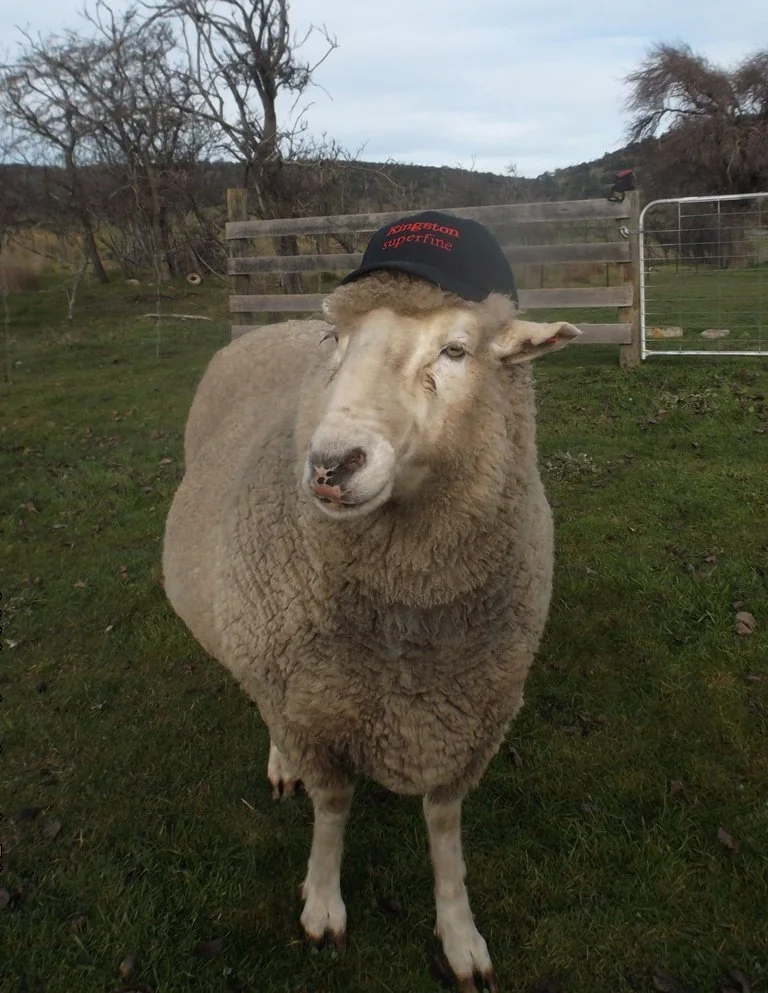 Kingston Superfine - I wish! small.JPG