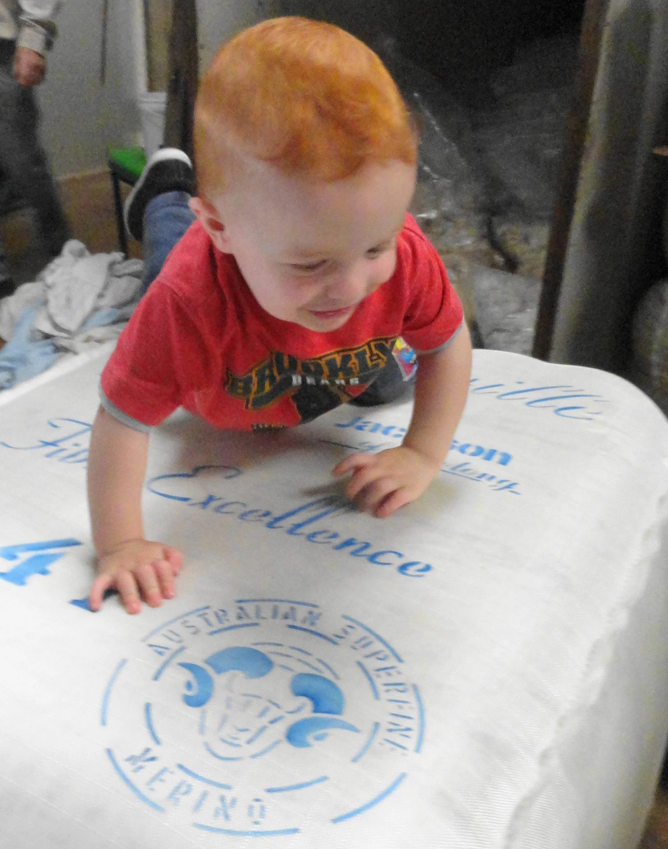 338 jensenwoolbale.jpg