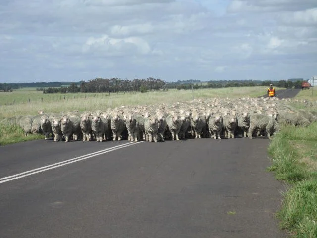 534 - EL - The Long Walk Home.jpg