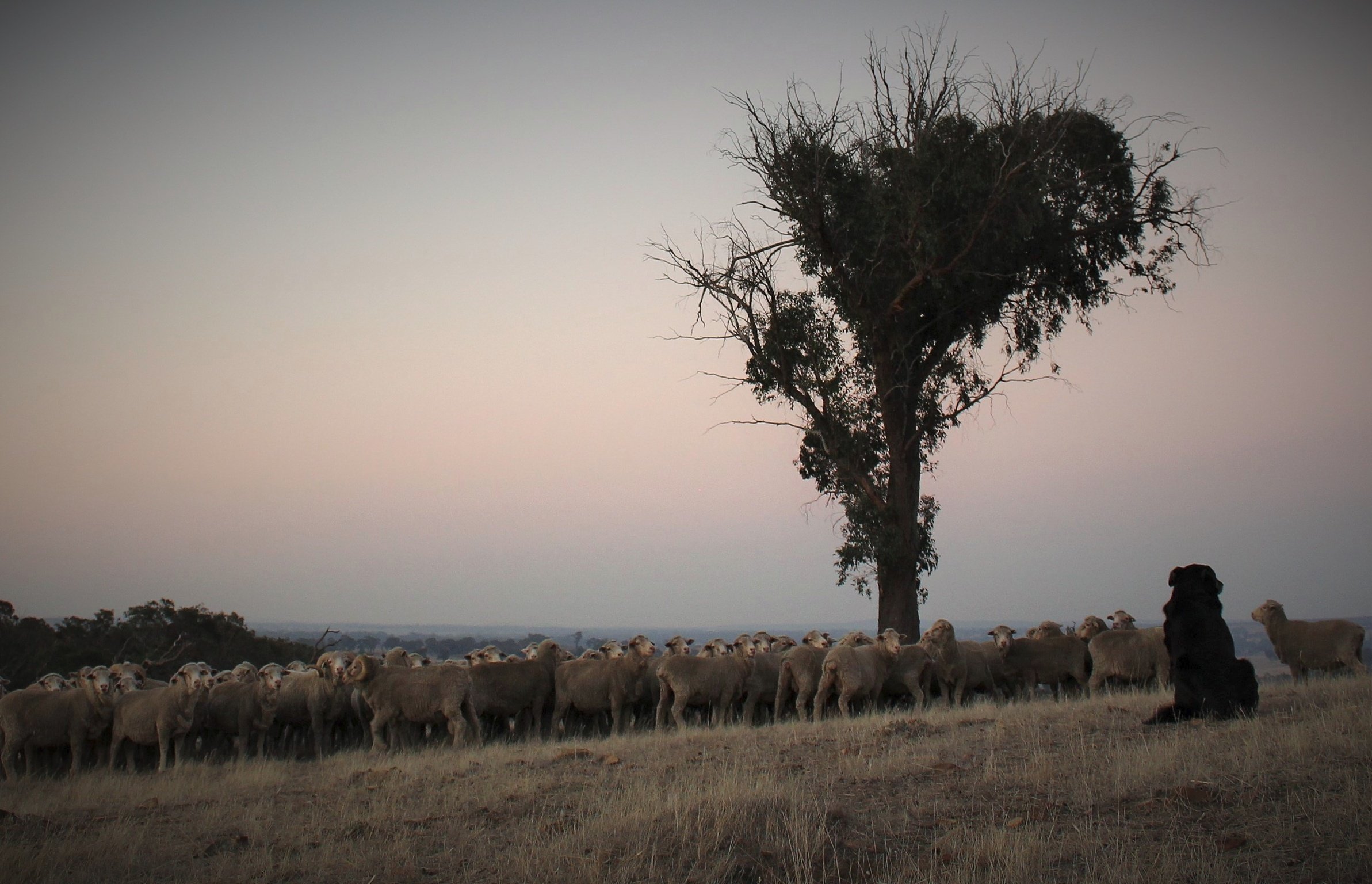 501 A Fine Sunset 4.jpg