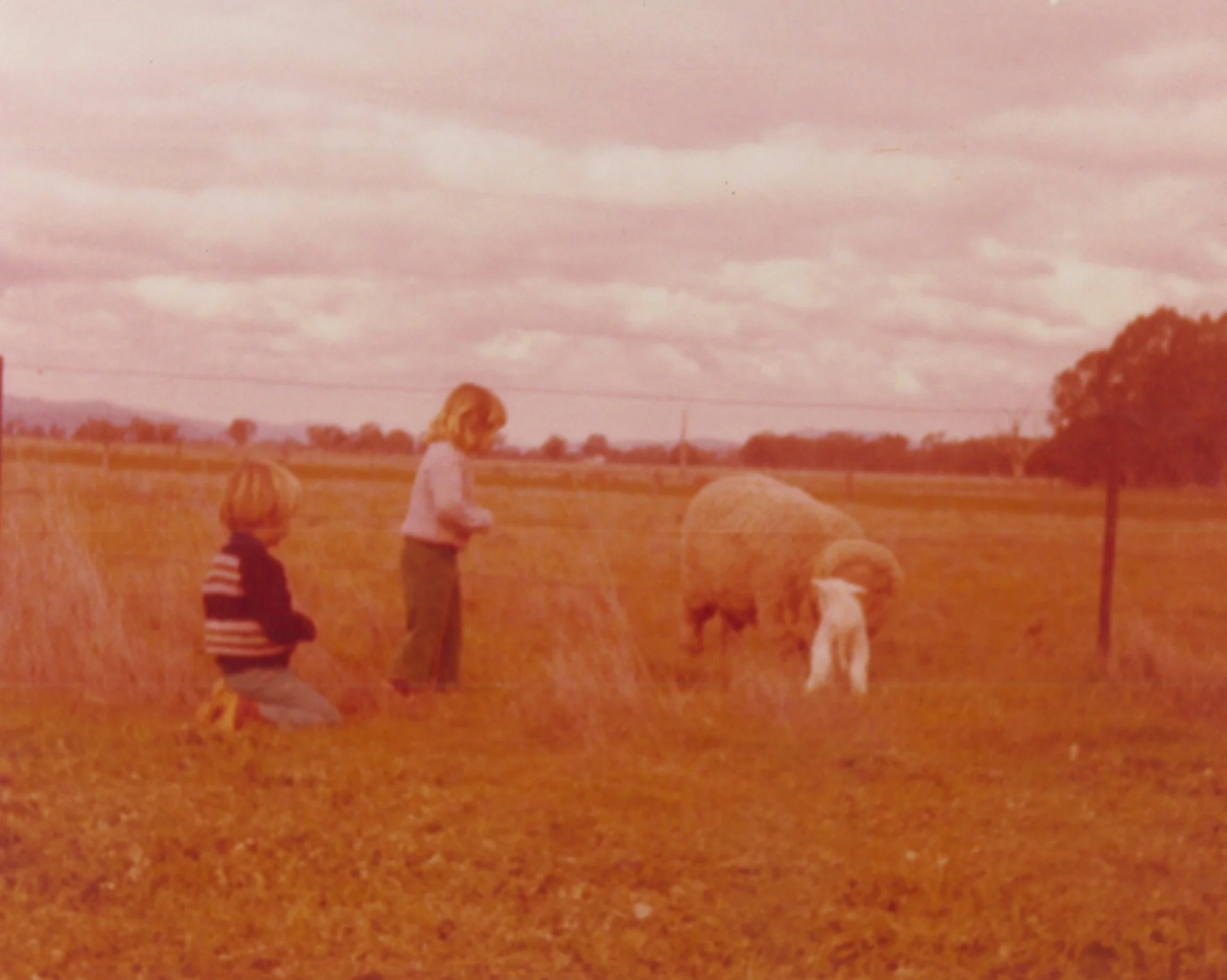 115 - KD - Superfine Kids 2.jpg