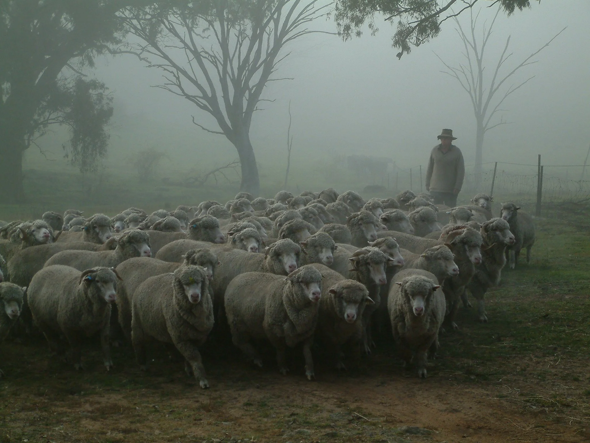 178Mustering in fog.jpg