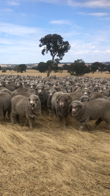 14d Whats for lunch.PNG