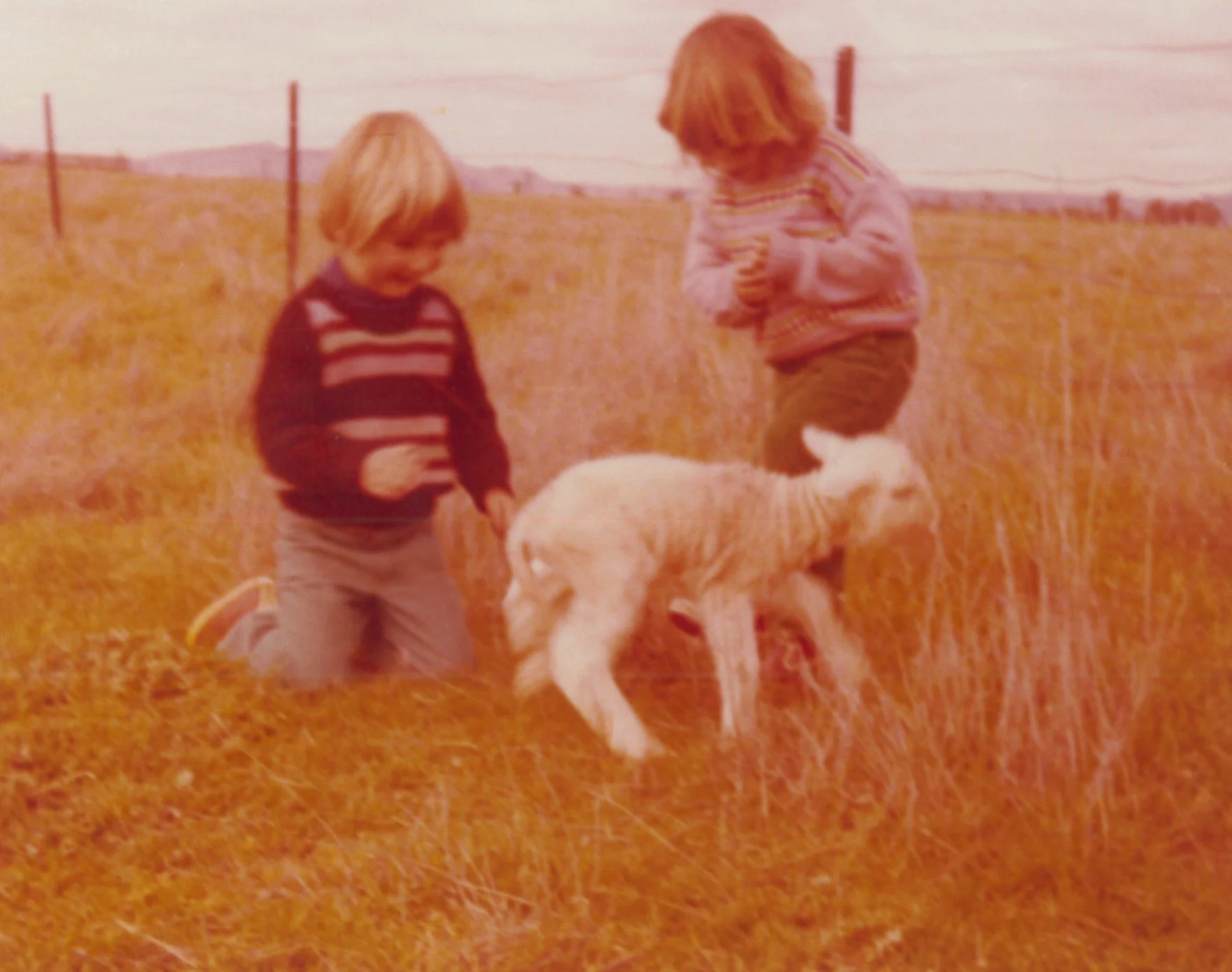 115 - KD - Superfine Kids.jpg