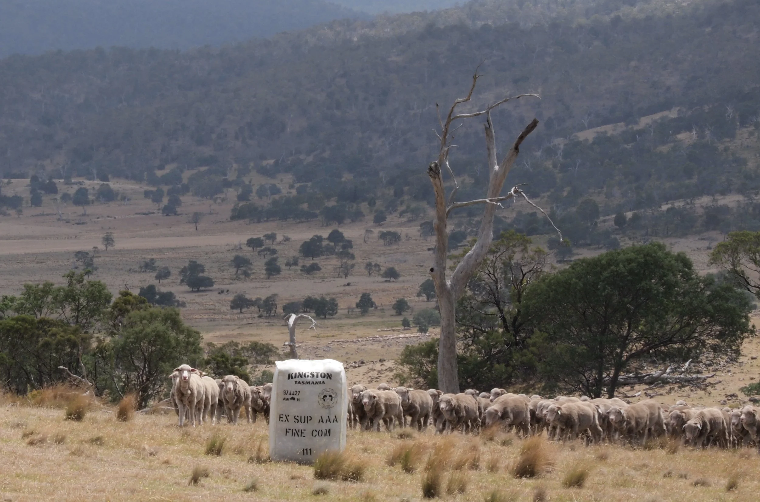 58d - Bale on the hill.jpg