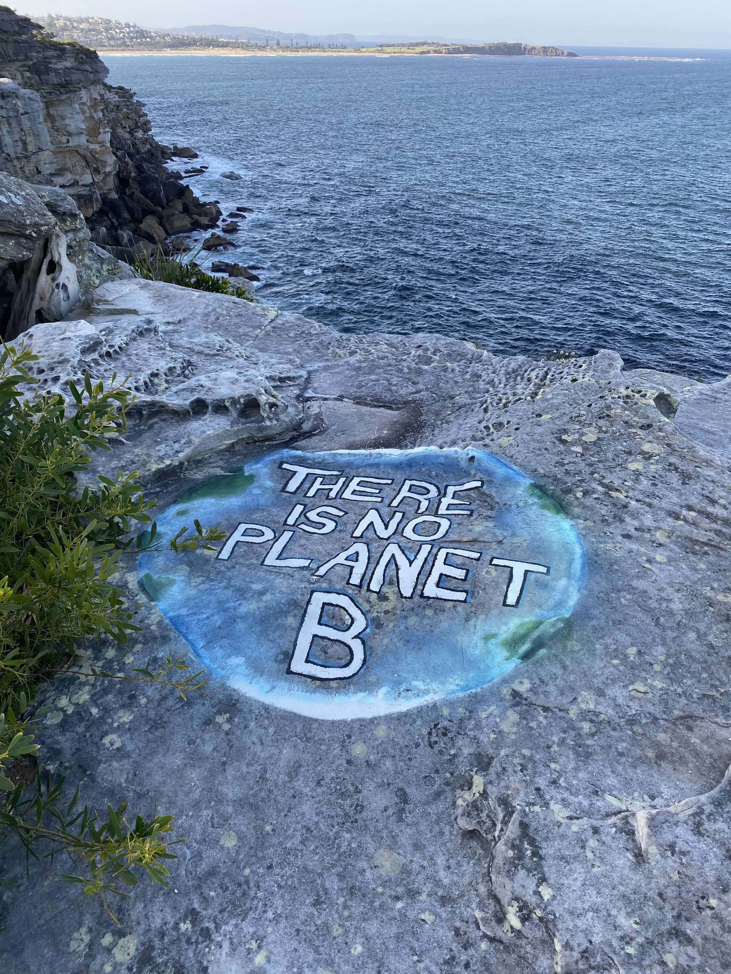 31b AB No Planet B.JPG