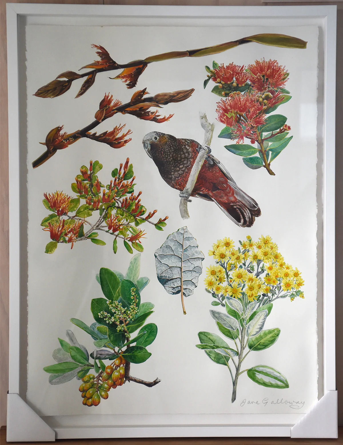 Kaka and Flax Flowers