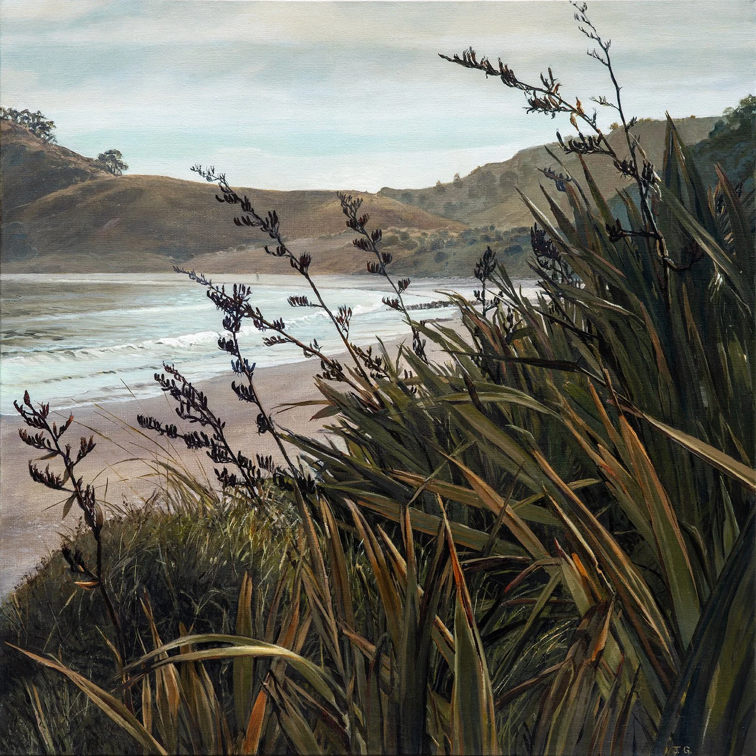 Early Morning Walk, Opito Bay