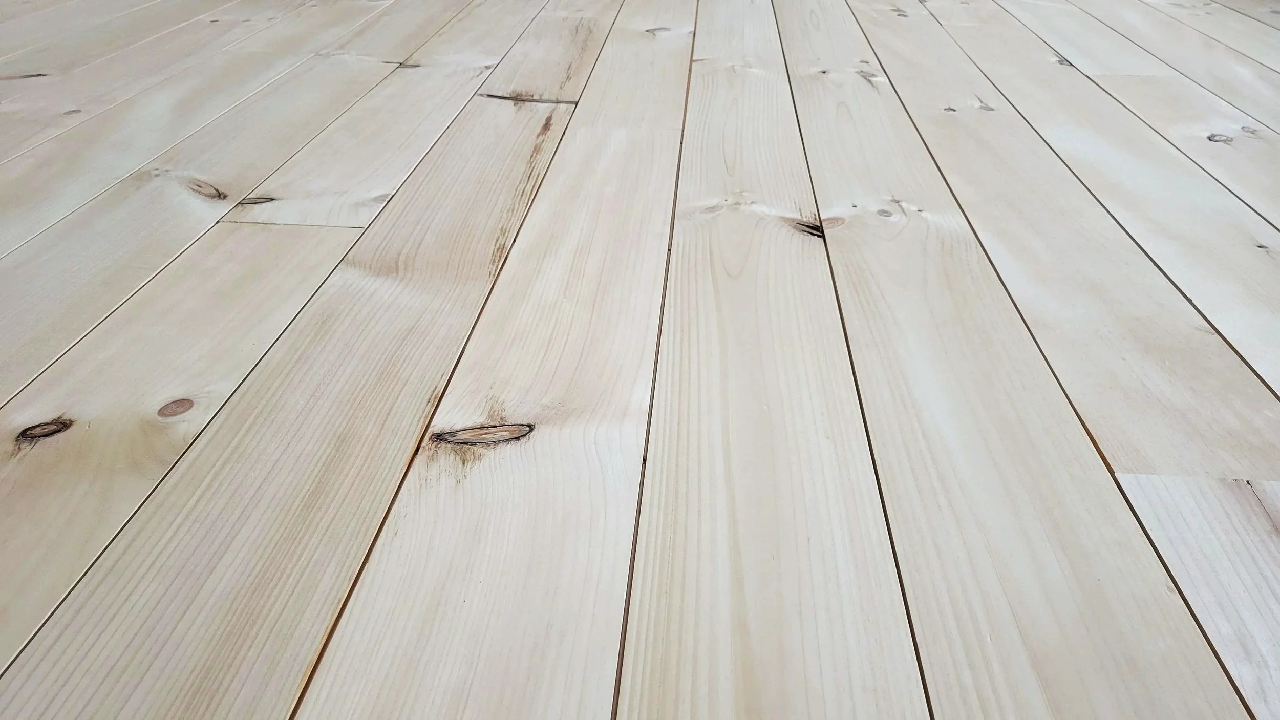 Nickel Gap Banner Photo.jpg