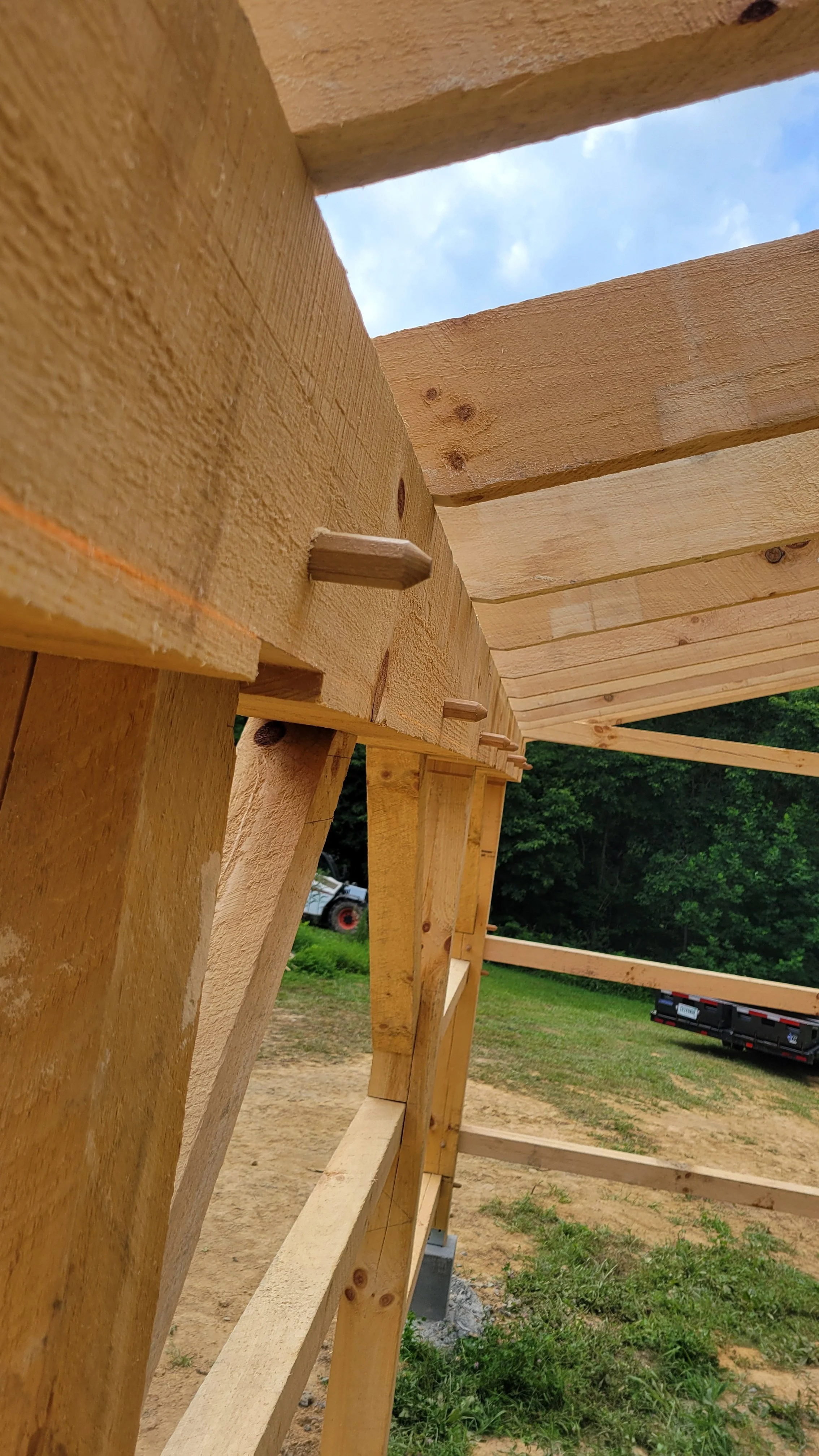 White Pine Timber Frame