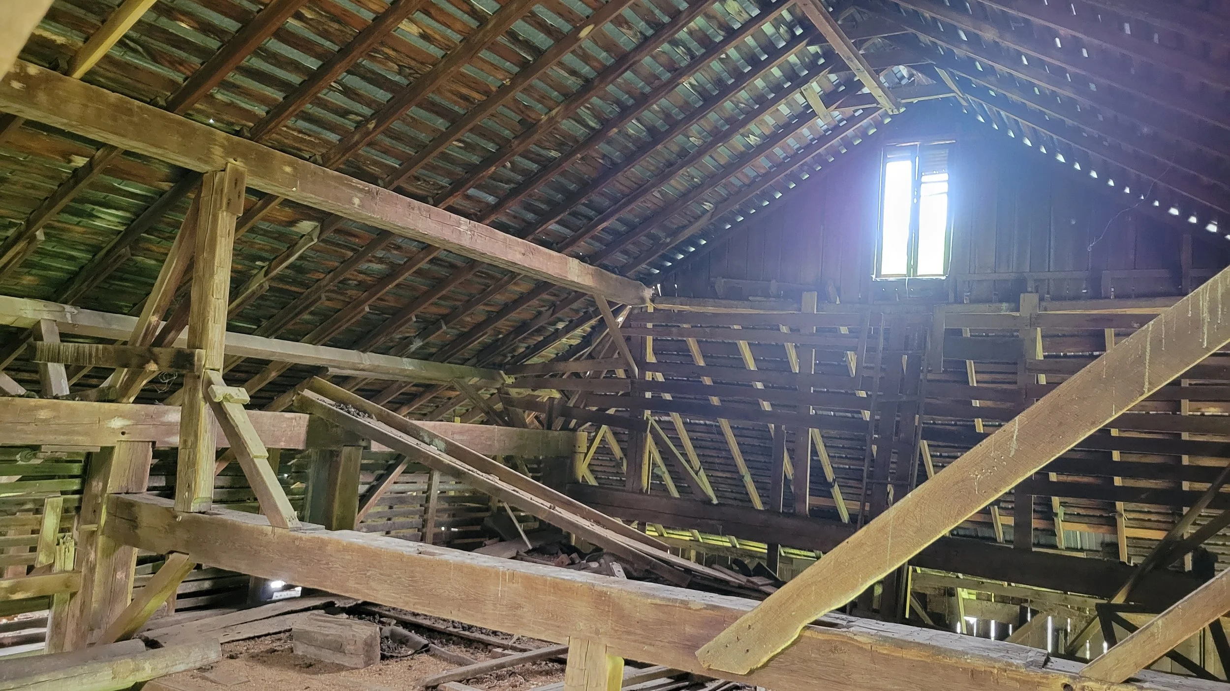 20260727_145401.jpg
