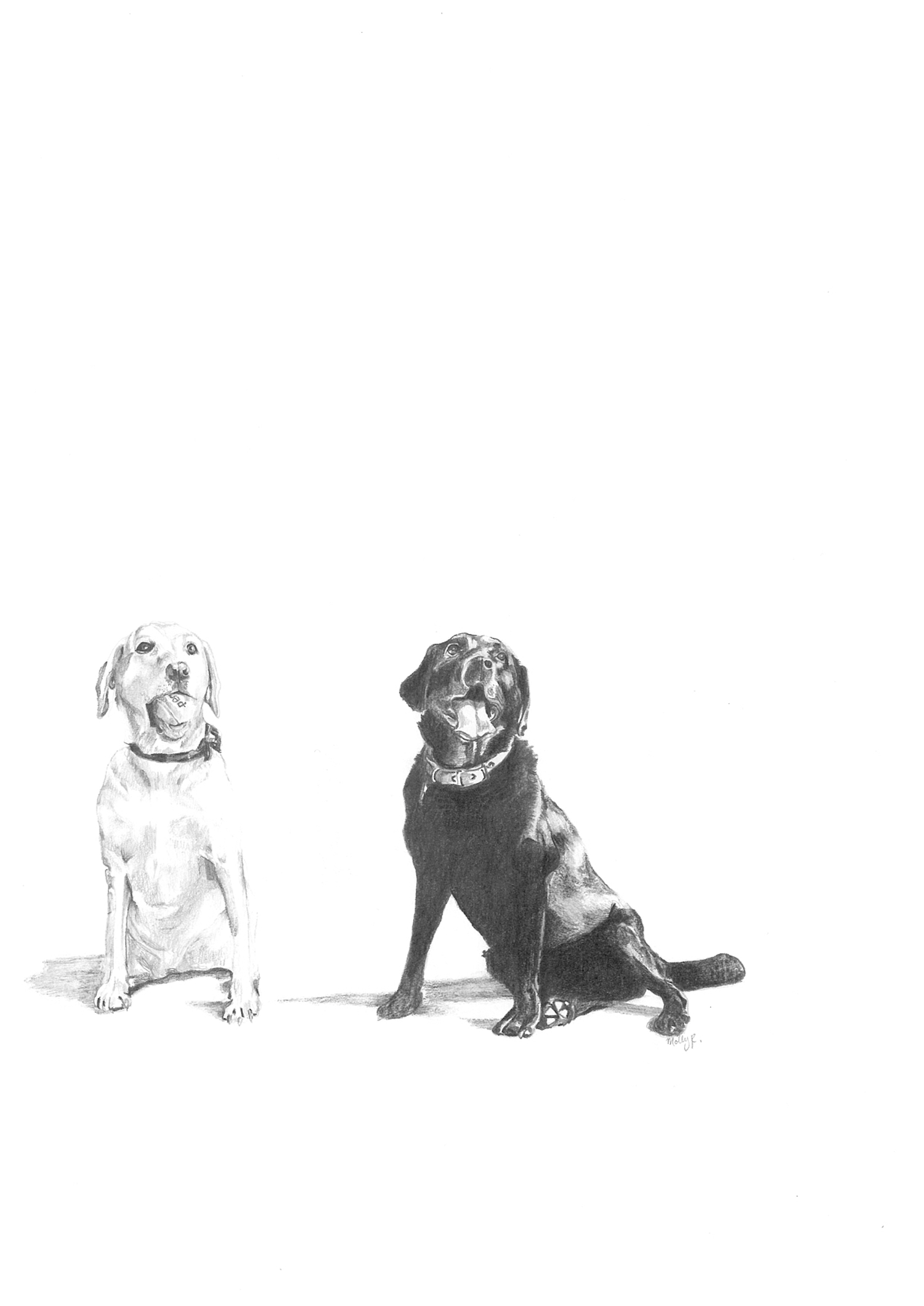 HubbellPups.jpg