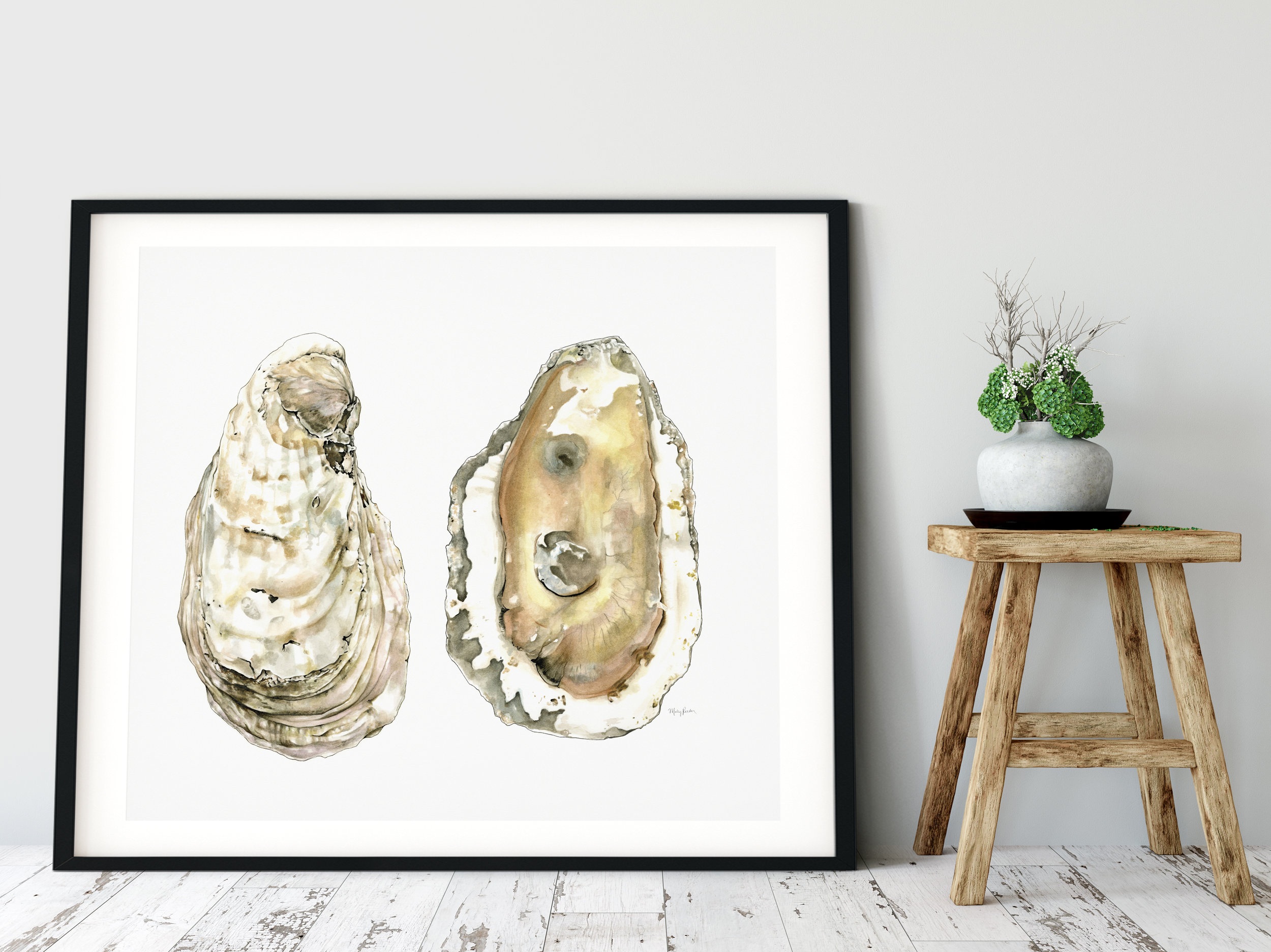 Limited edition White stone Oyster Watercolor giclee print. Available now in the online shop.