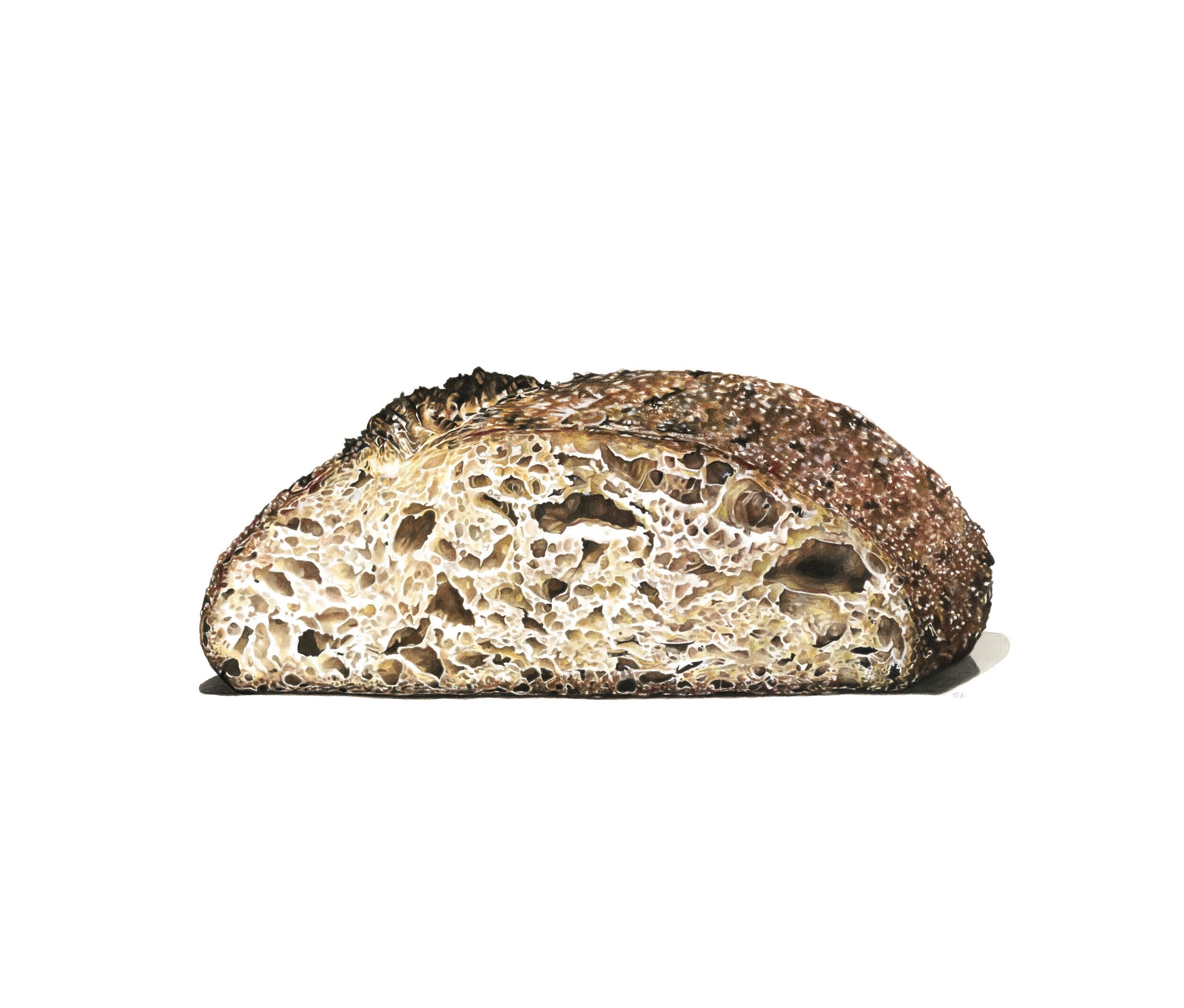Sourdough Bread Watercolor Food Illustration Botanical 