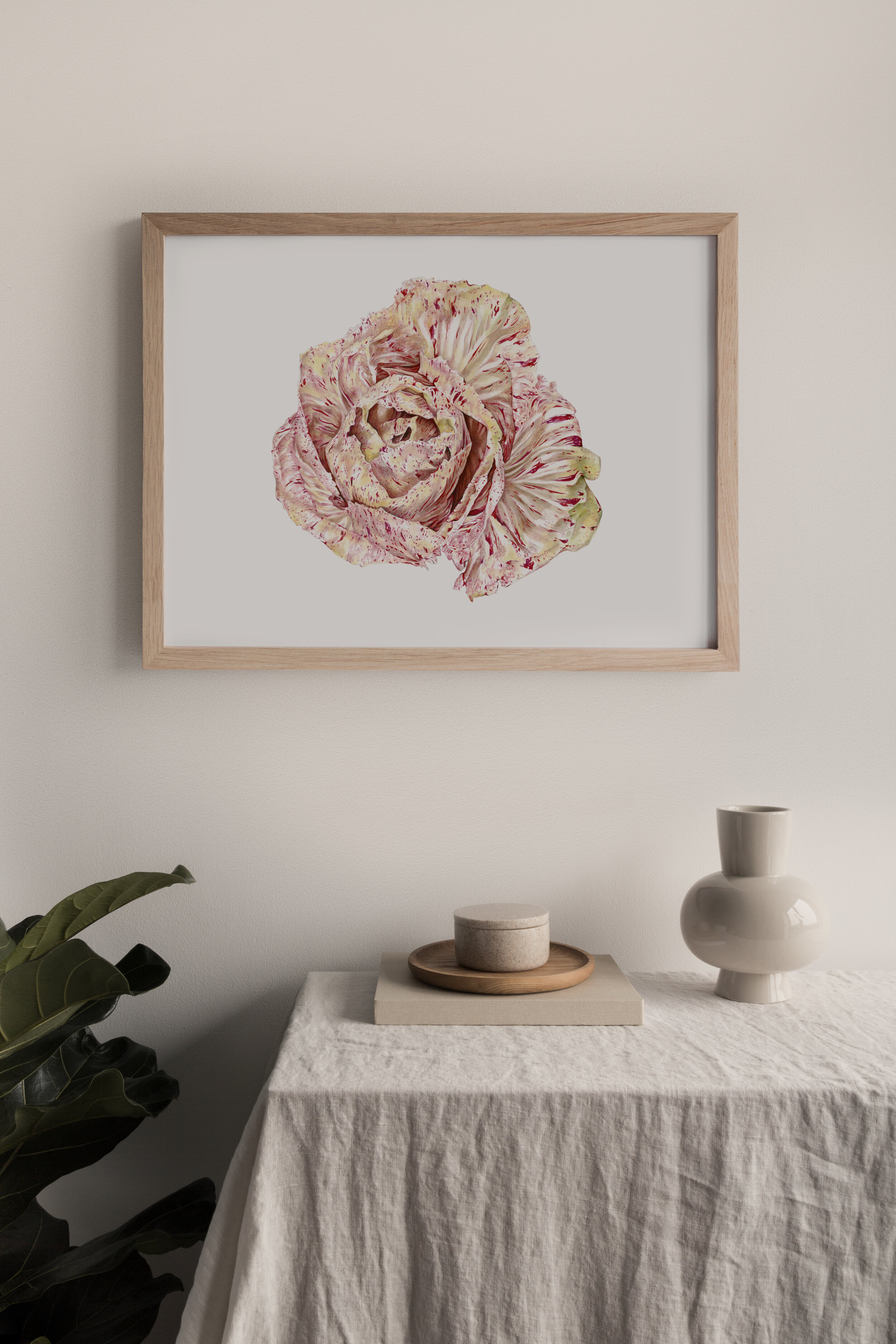 Original Radicchio Variegata Di Lusia Watercolor