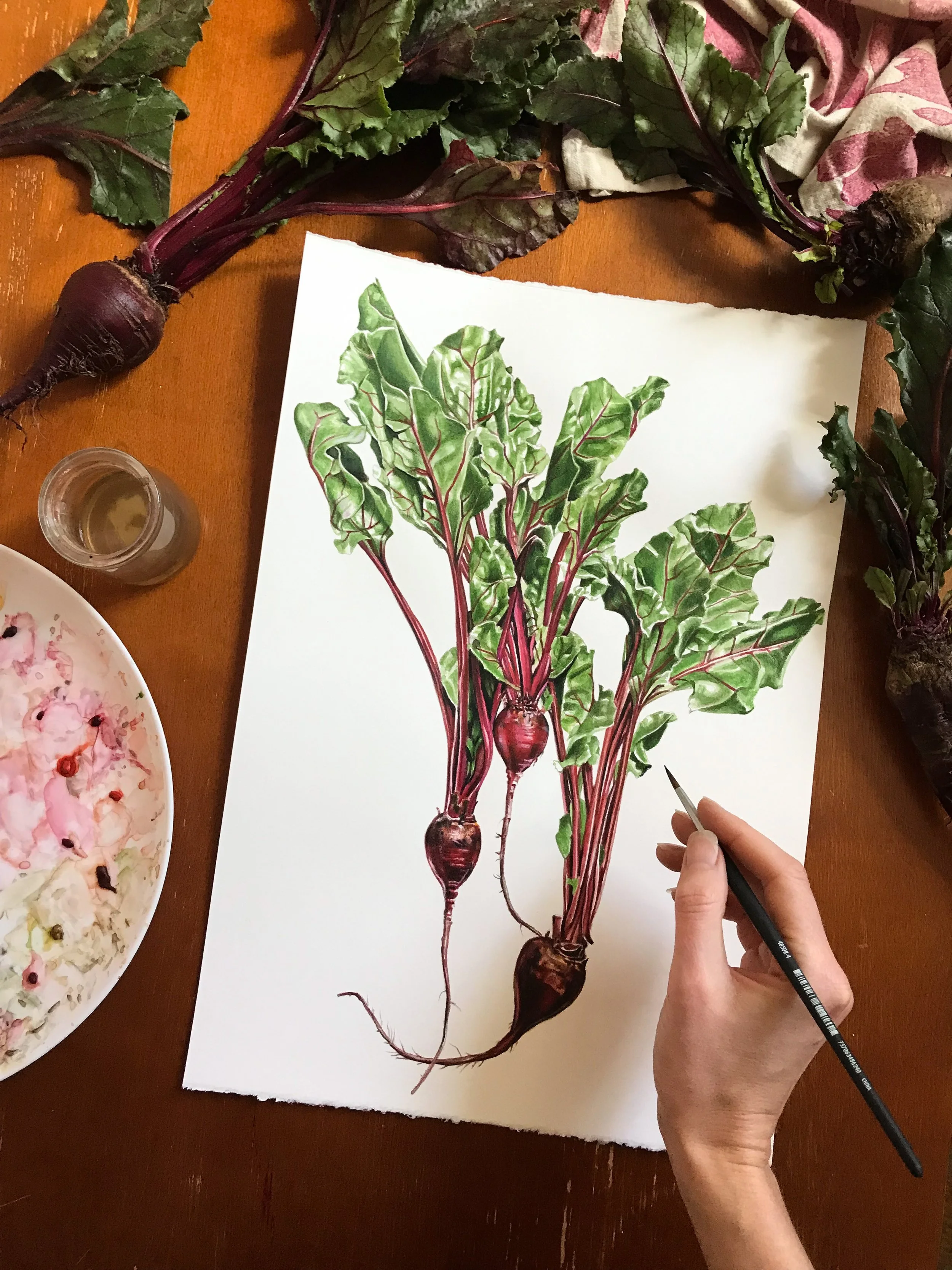 Original Beets in watercolor
