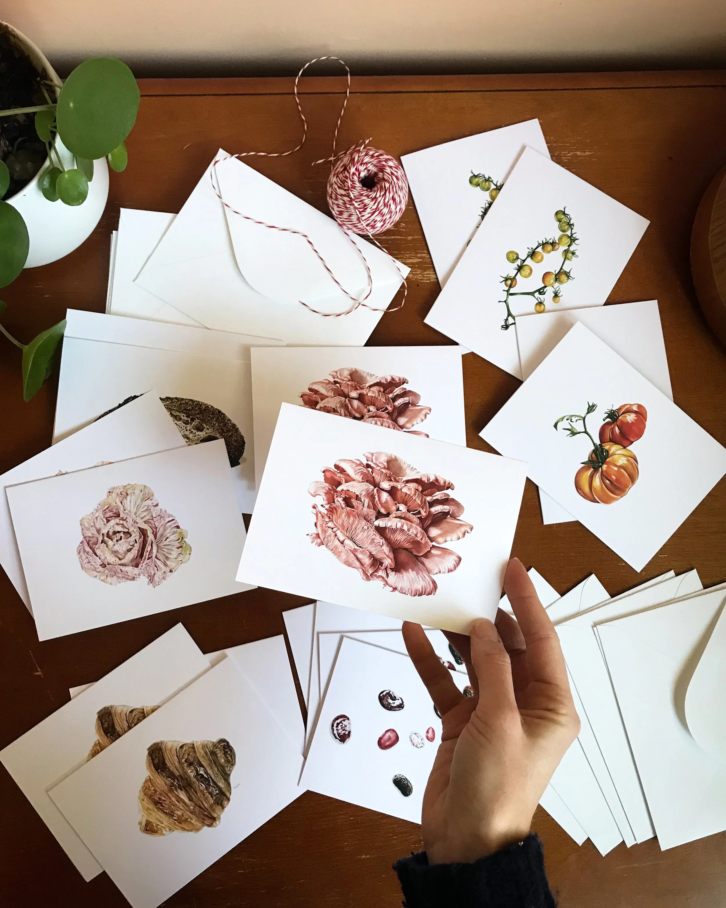 Illustrated Greeting Cards