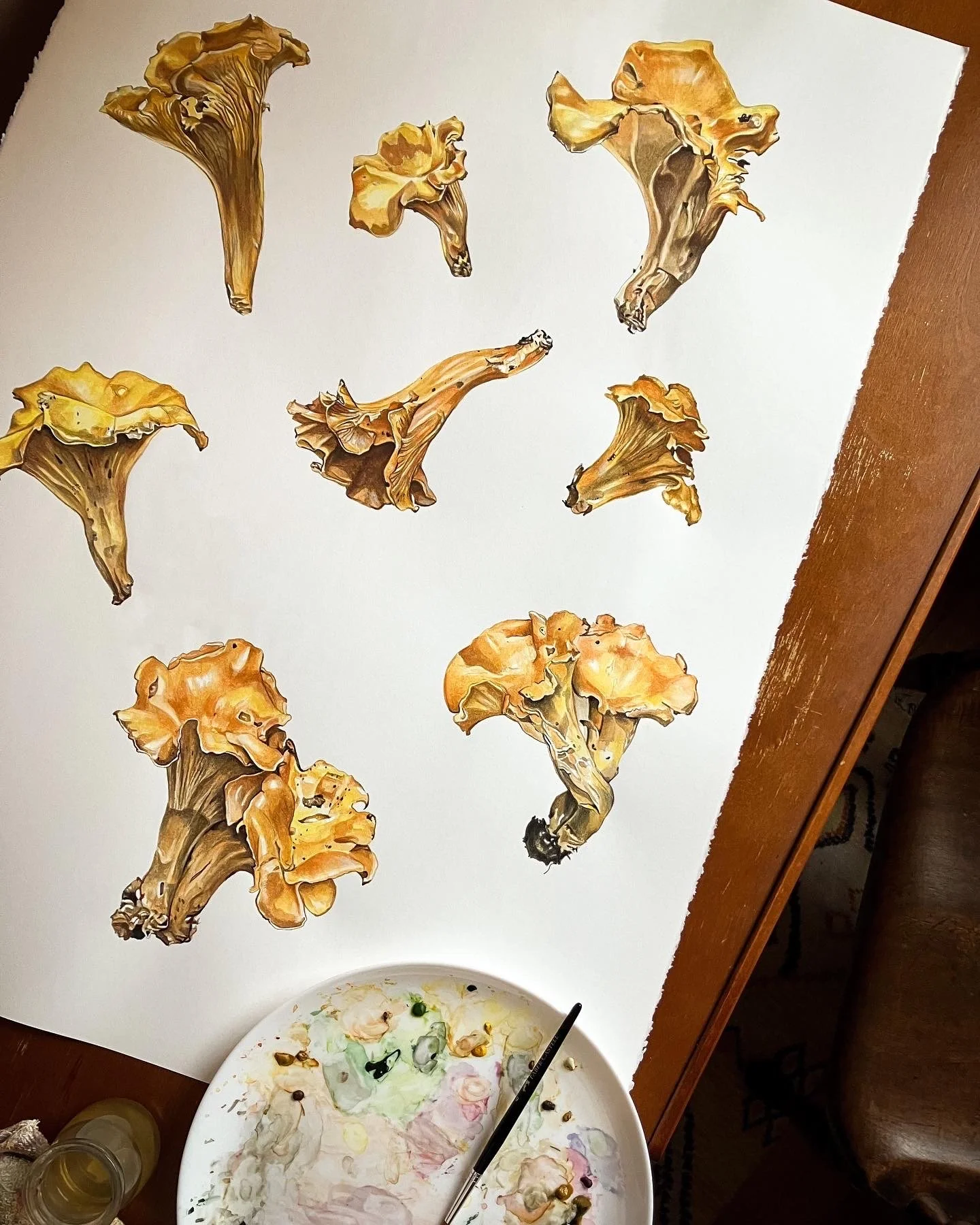 Original Freedom Chanterelles Painting